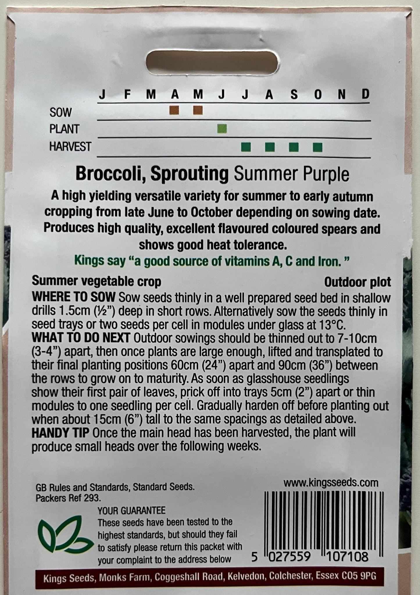 Broccoli Sprouting Summer Purple 100 Seeds