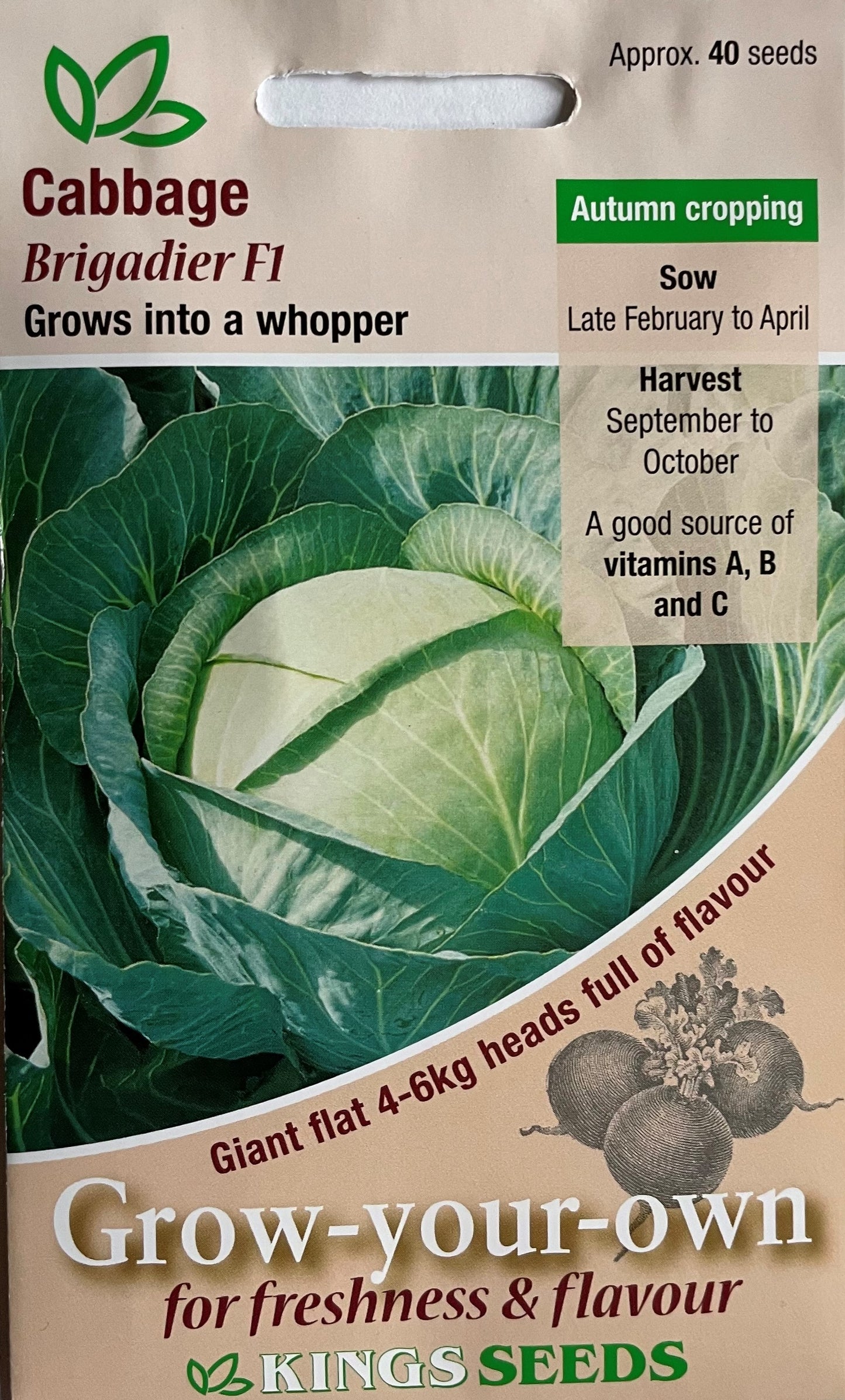 Cabbage Brigadier F1 40 Seeds