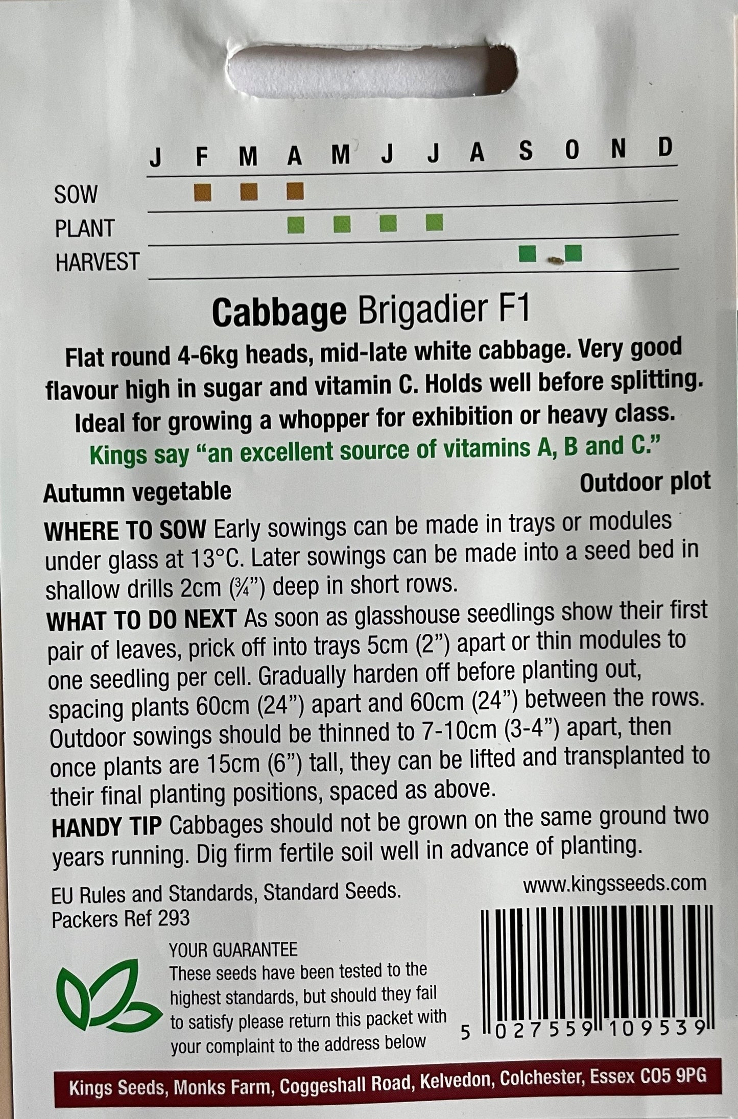 Cabbage Brigadier F1 40 Seeds