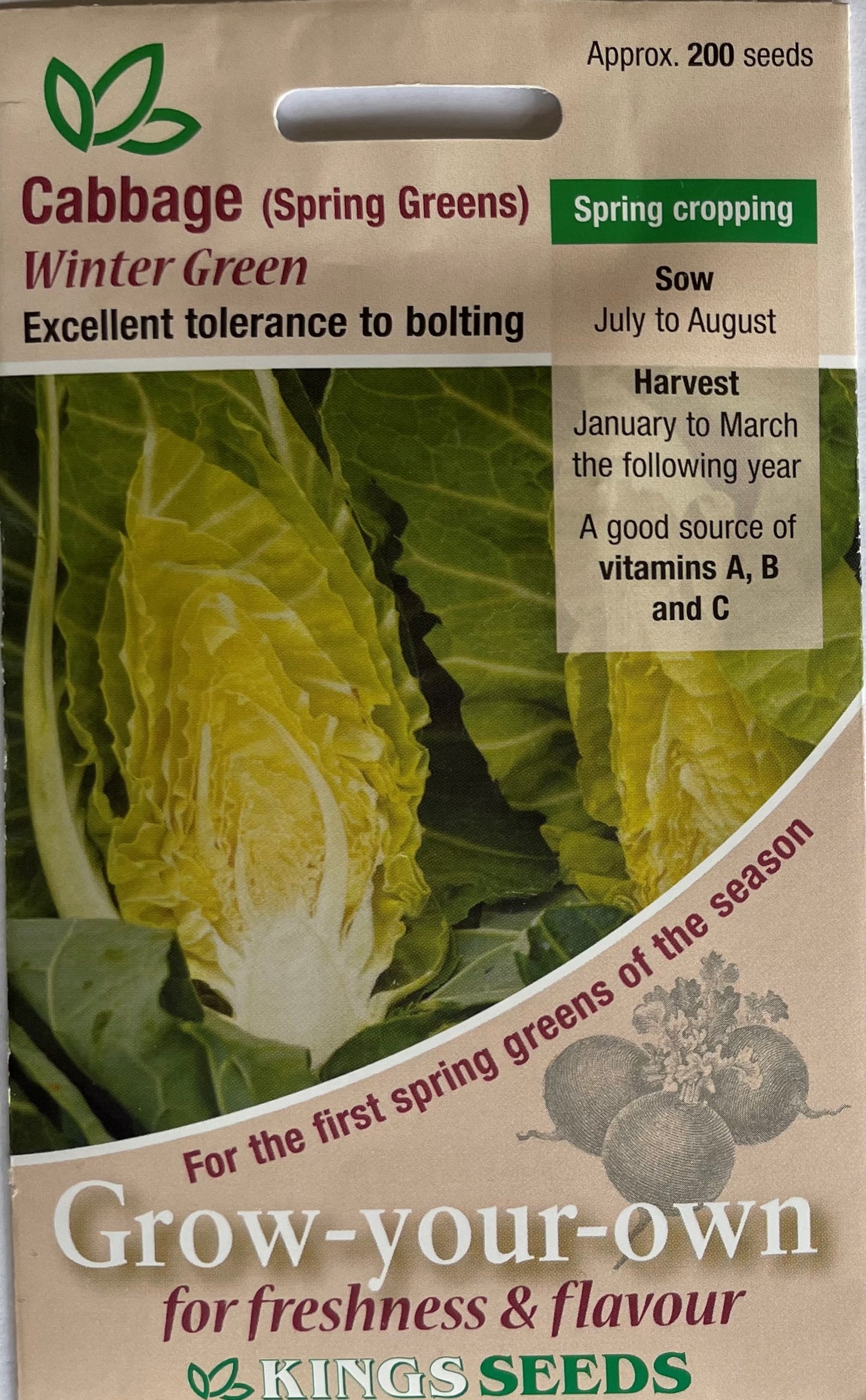 Cabbage Winter Green 200 Seeds