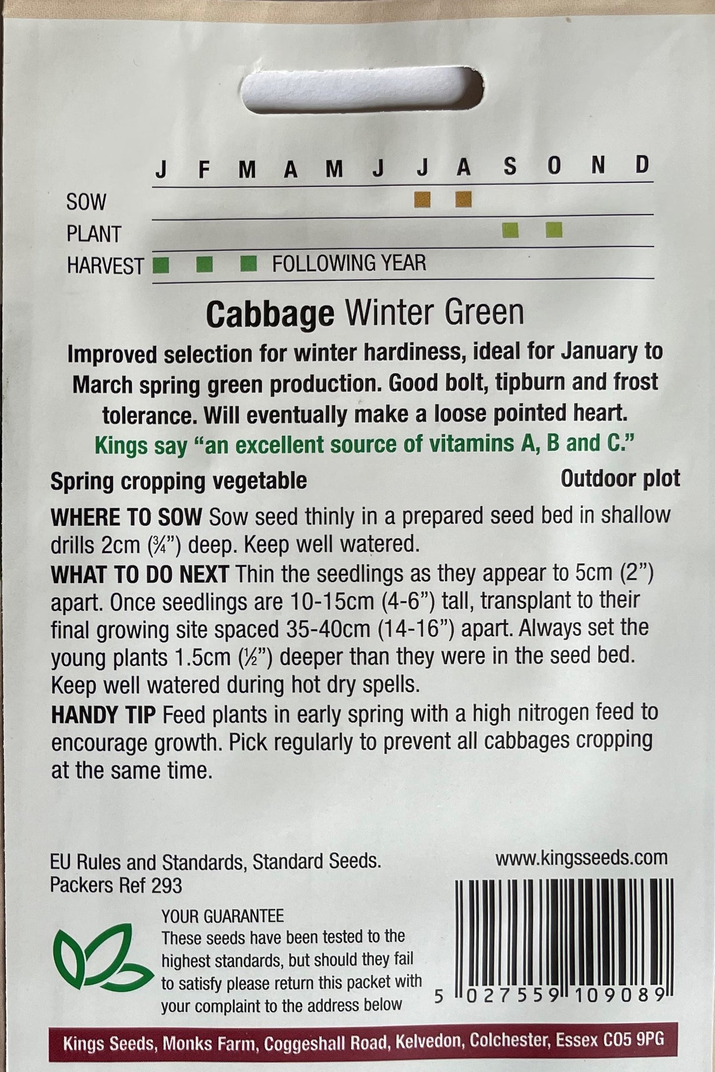 Cabbage Winter Green 200 Seeds