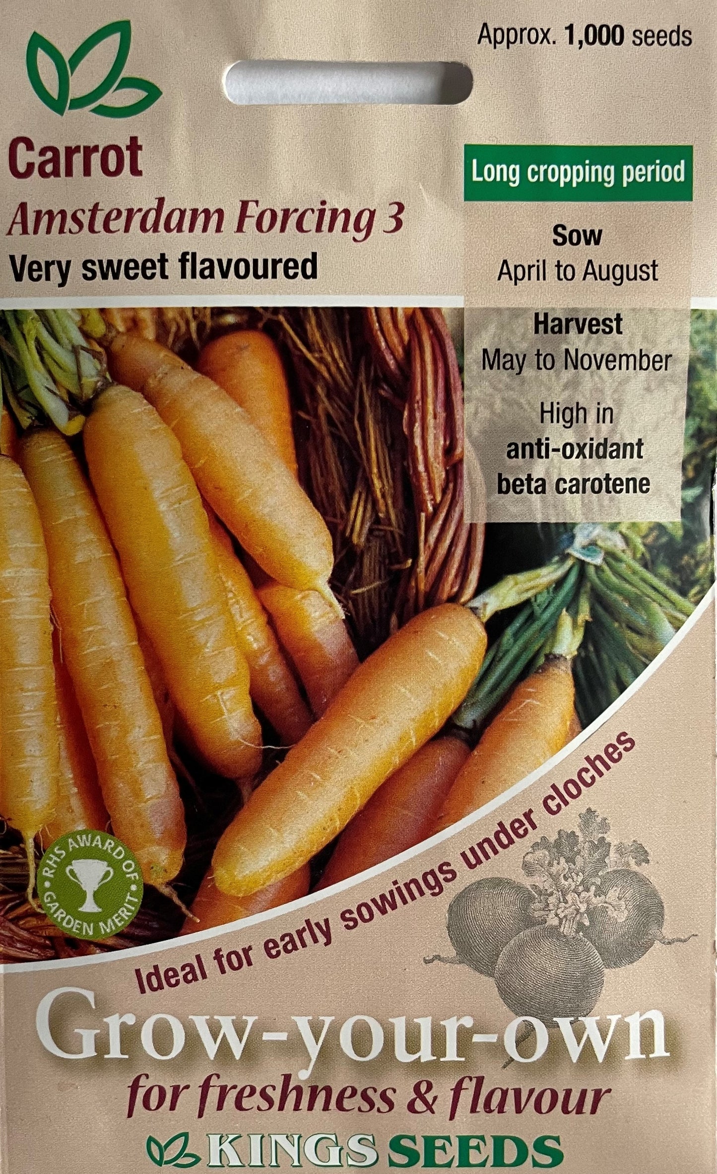 Carrot Amsterdam Forcing 1000 Seeds