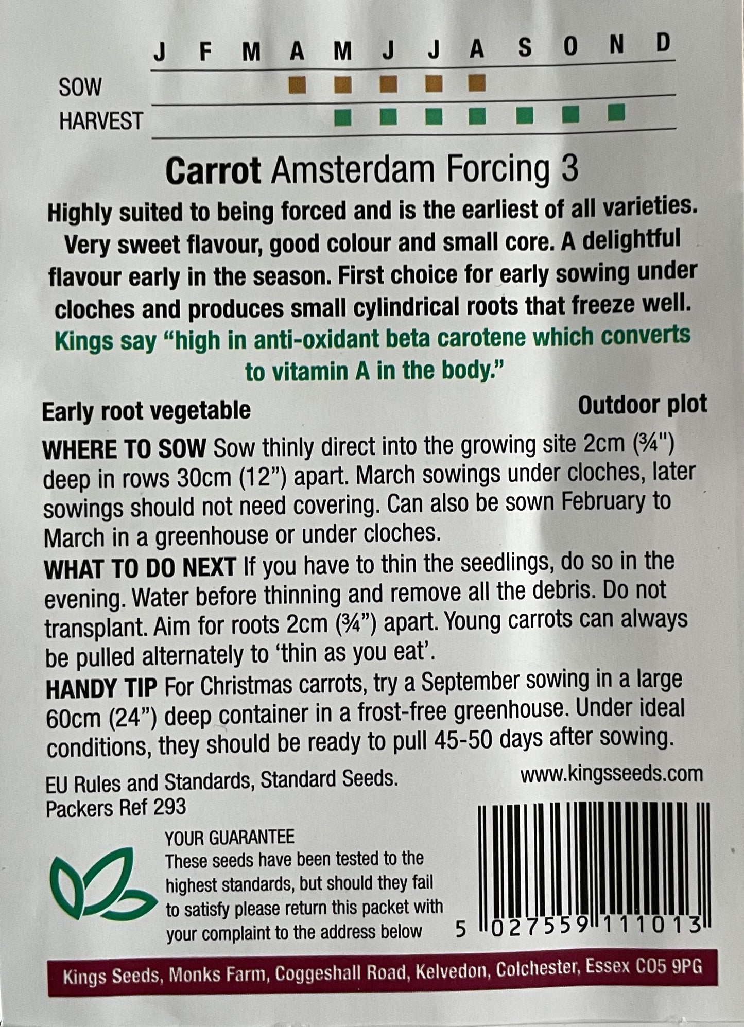 Carrot Amsterdam Forcing 1000 Seeds