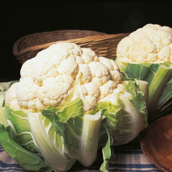 Cauliflower Autumn Giant 225 seeds