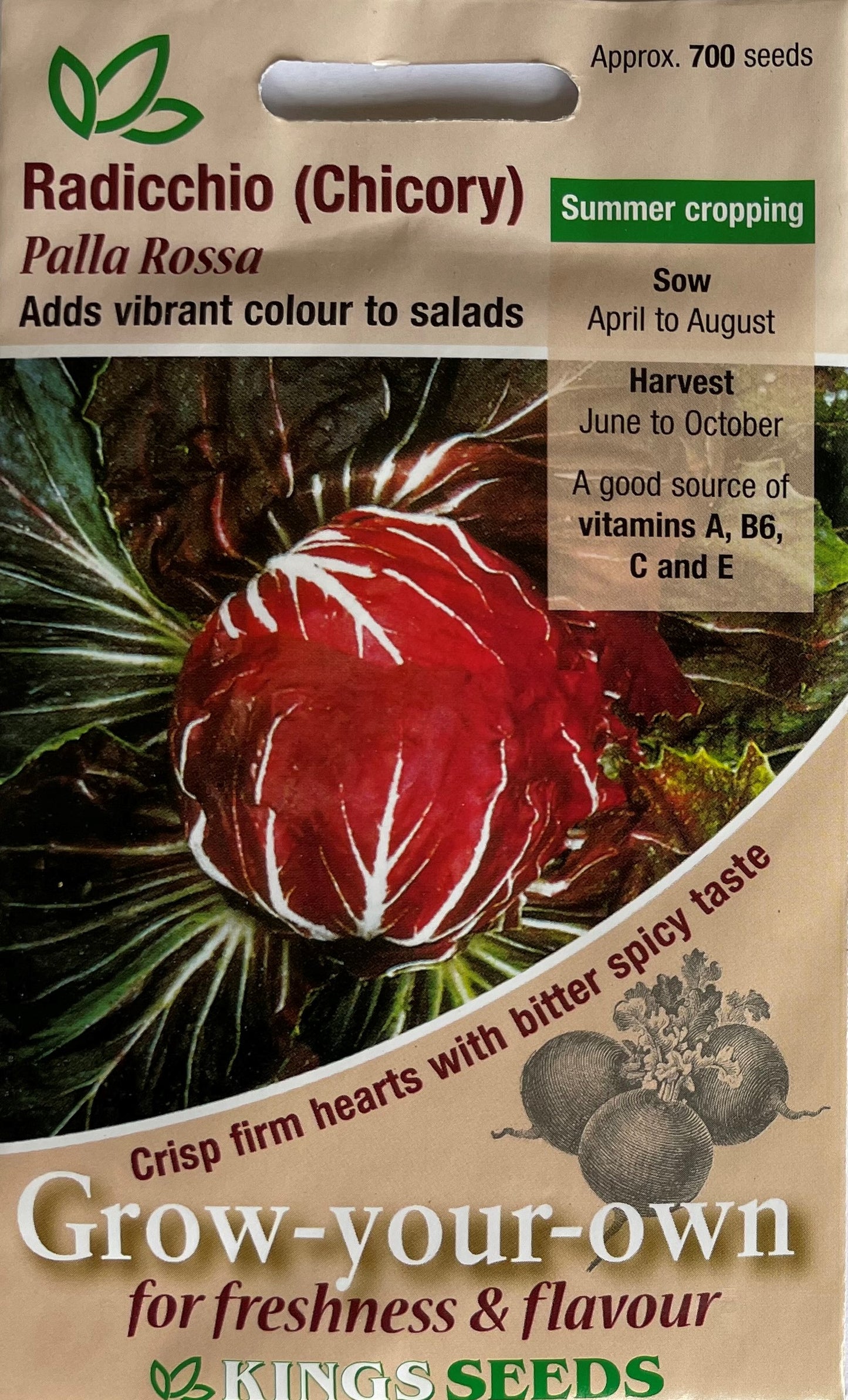 Chicory Palla Rossa Radicchio 700 Seeds