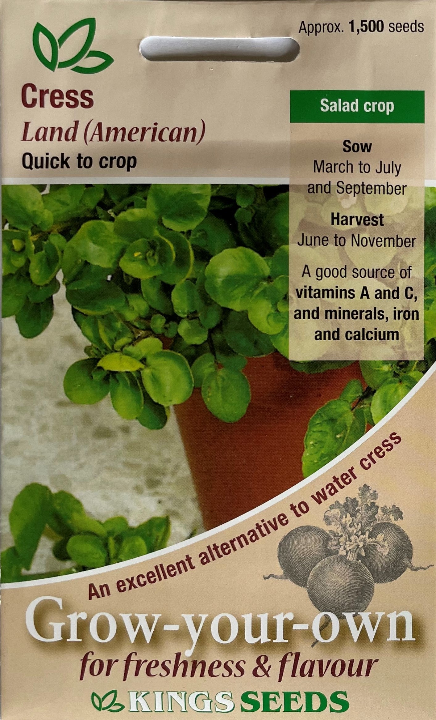 Cress American Land 1500 Seeds