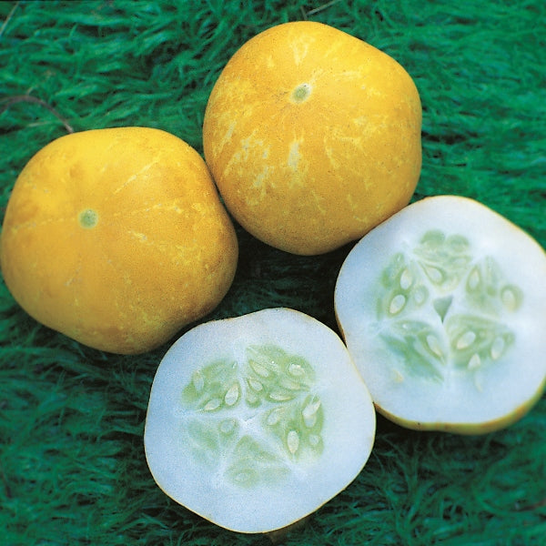 Cucumber Crystal Lemon 30 Seeds