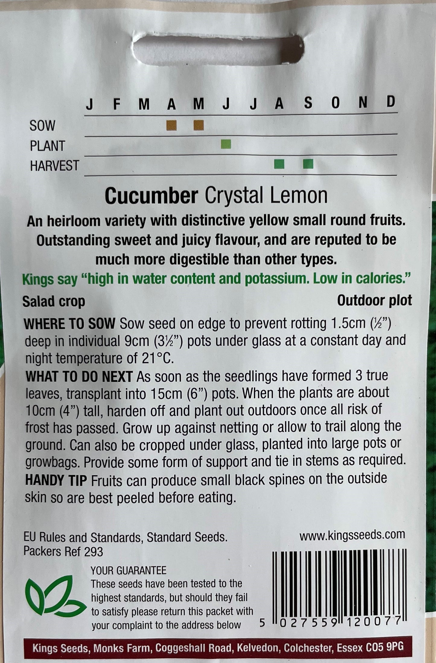 Cucumber Crystal Lemon 30 Seeds
