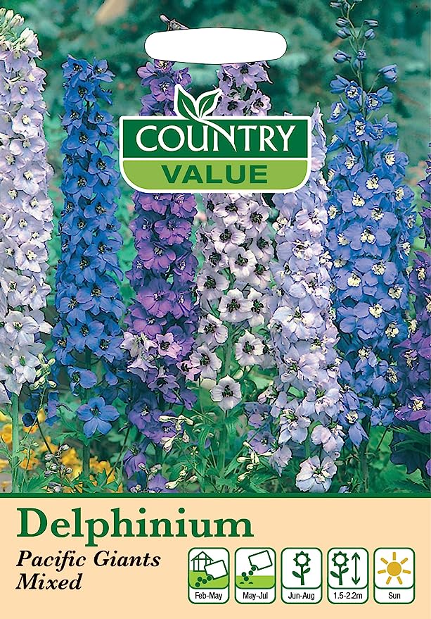 Delphinium Pacific Giants Mixed 60 Seeds