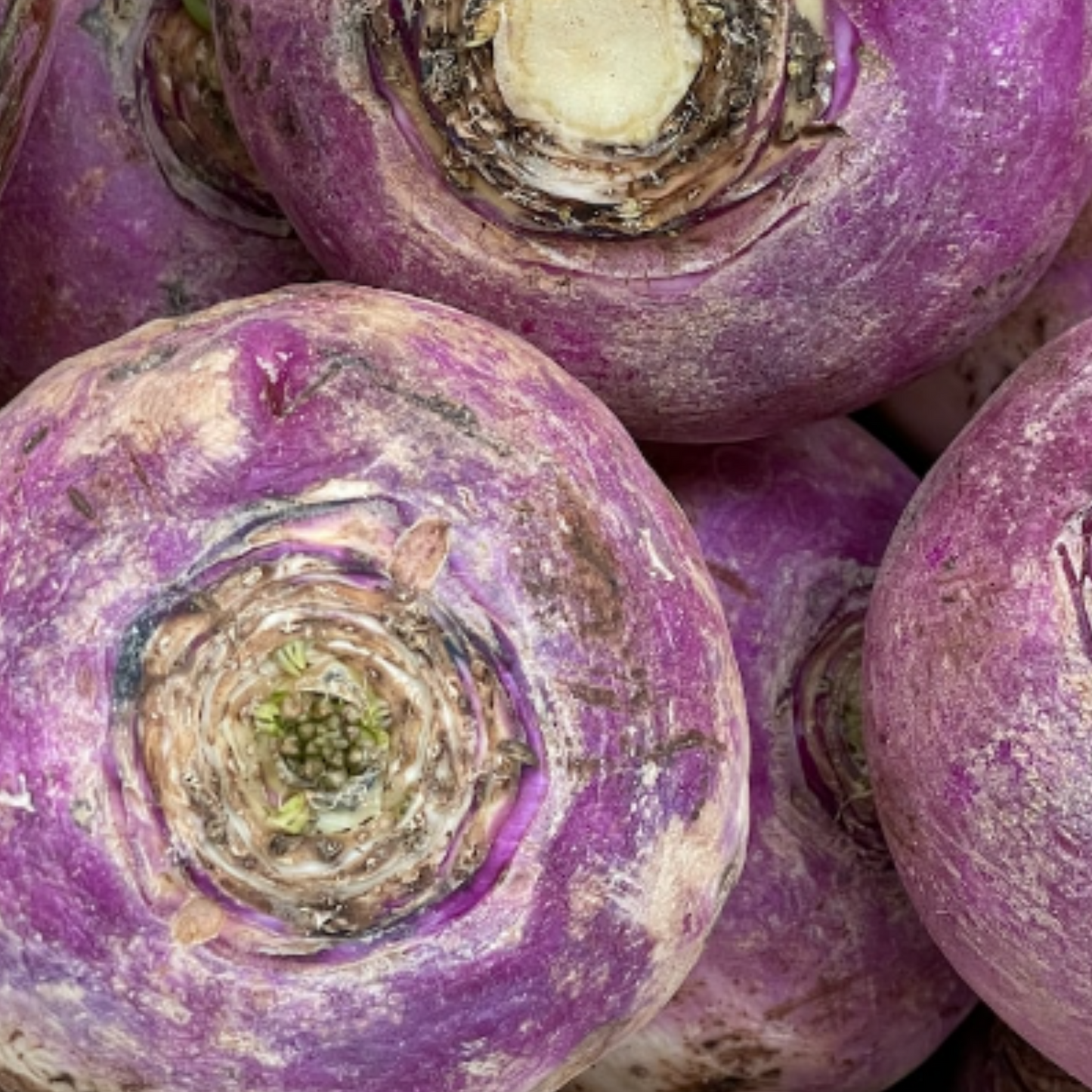 Swede Marian 250 Seeds
