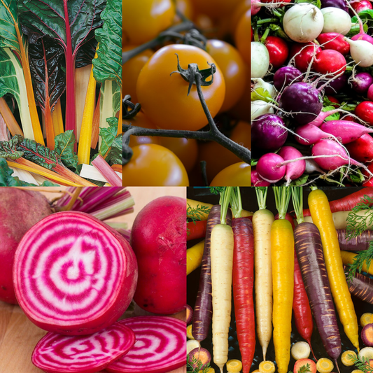 Rainbow Vegetables Collection. 5 Colourful Vegetable Varieties.