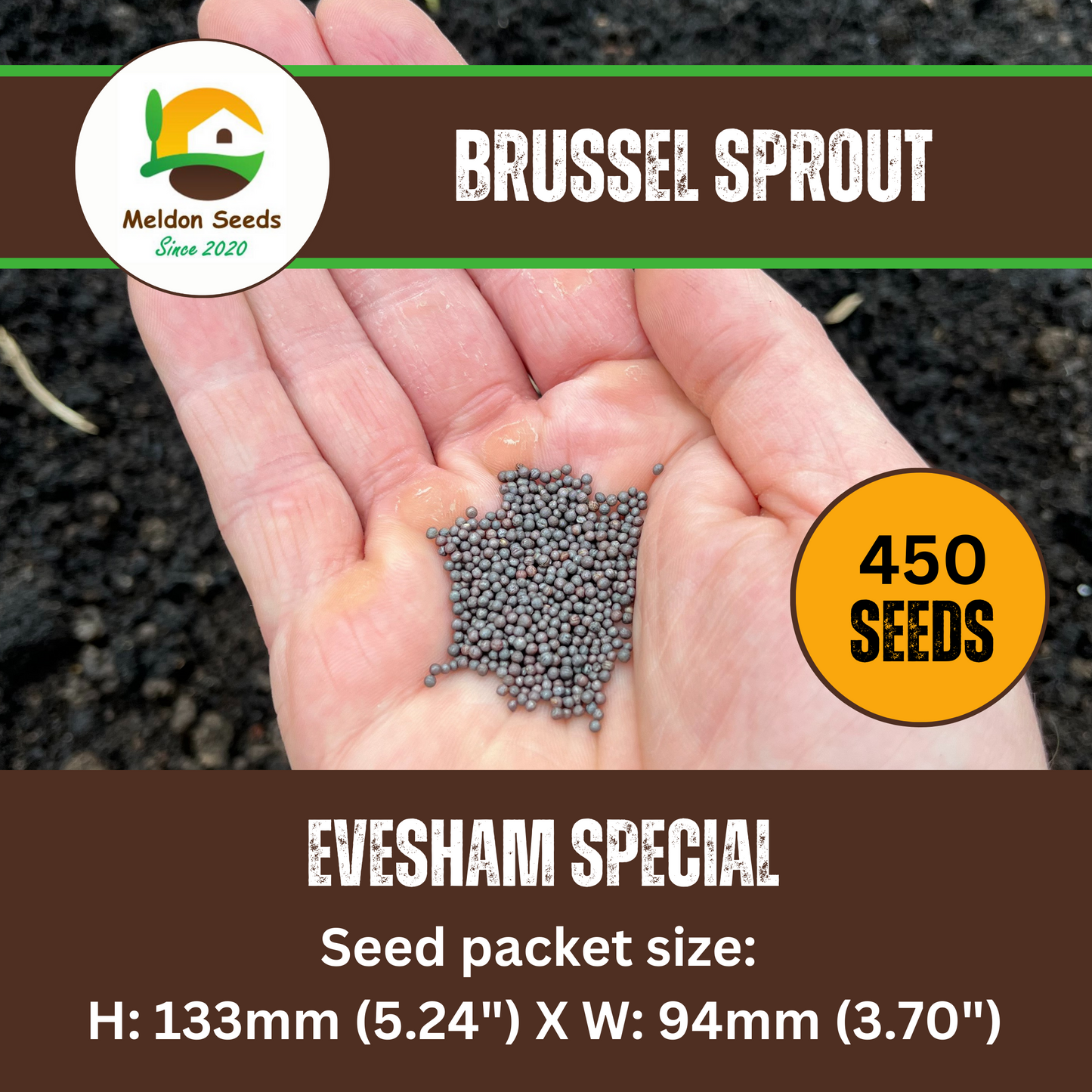 Brussels Sprout Evesham Special 450 Seeds