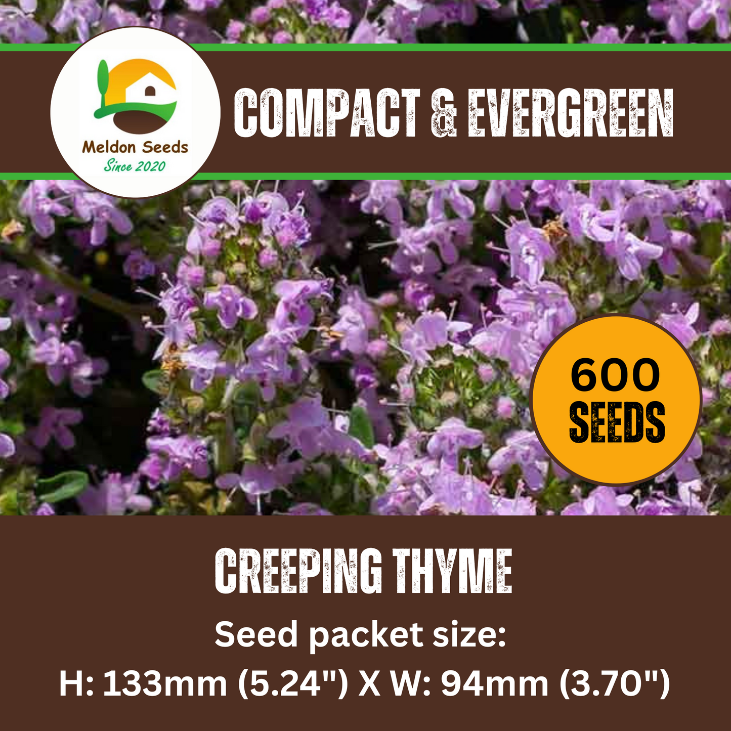 Creeping Thyme Seeds 450 Fresh Herb Seeds with Pink/Purple Flowers