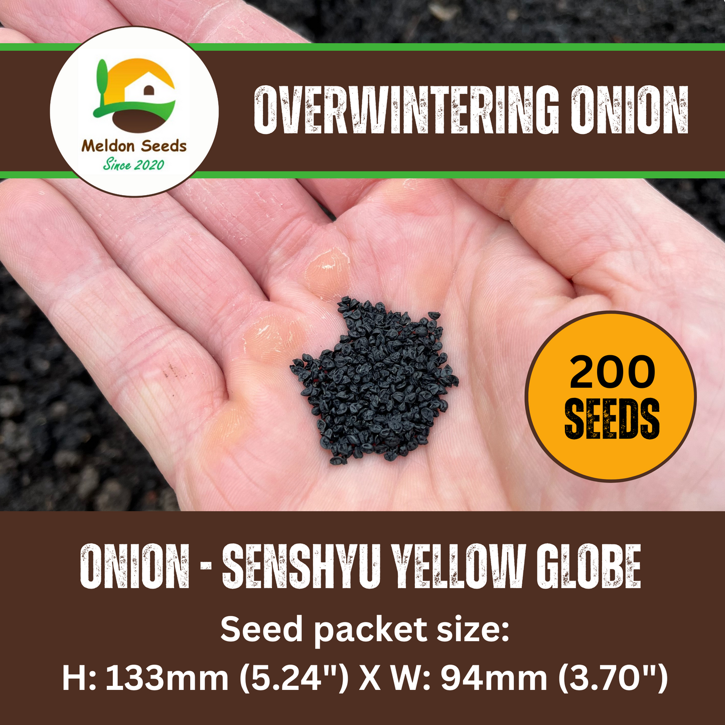 Onion Seeds Senshyu Yellow – 200 Semi-globe Type Onion Seeds – Plant and Grow Your Own Vegetables Ideal for Greenhouse, Garden, Polytunnel, Large Pots or Containers – Packed in The UK by Meldon Seeds