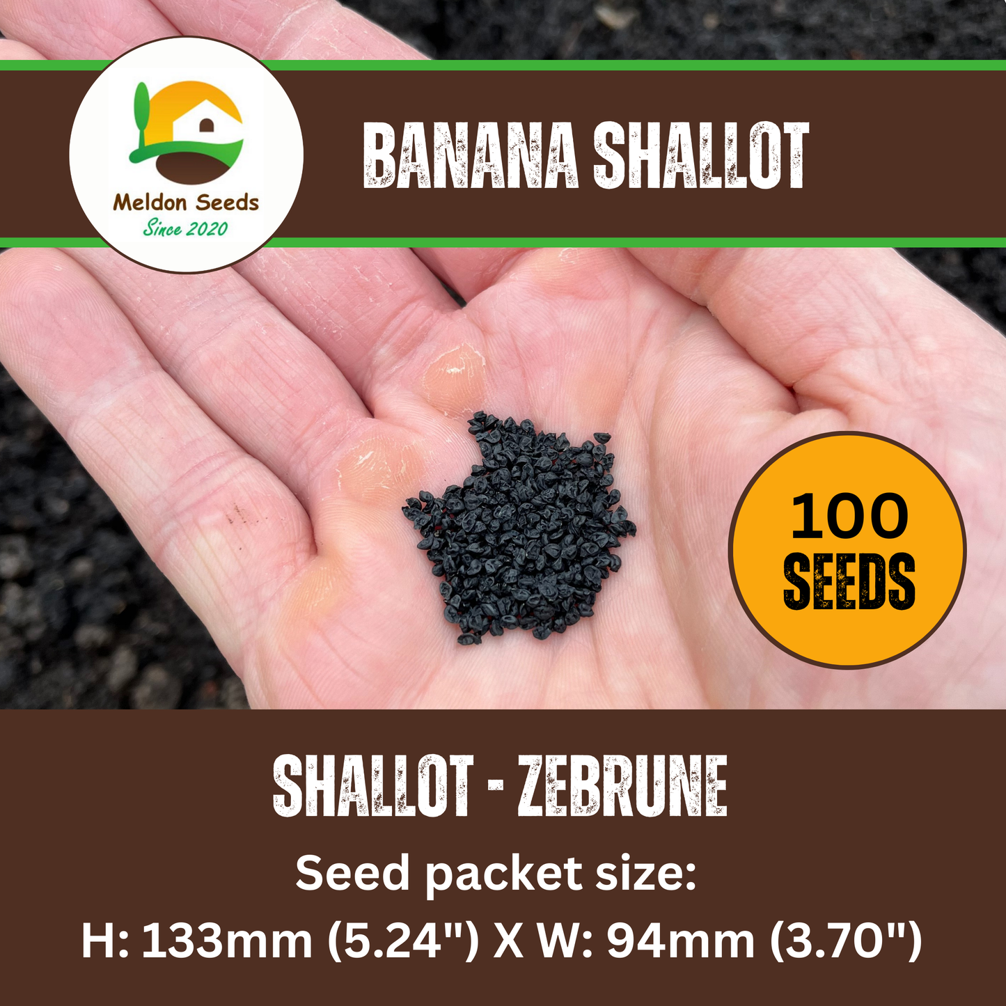 Shallot Seeds (Banana) Shallot Zebrune - 100 Fresh Onion Seeds for Planting UK