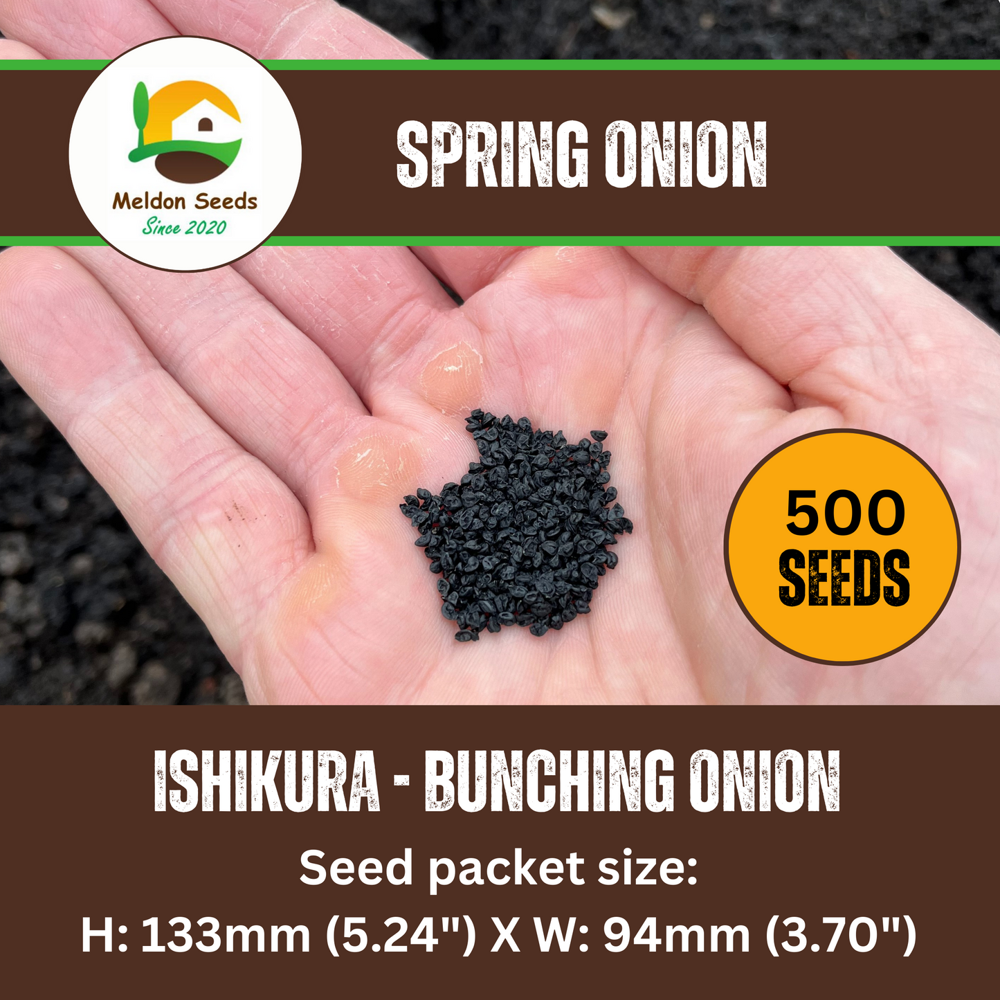 Spring Onion Long White Ishikura 500 Seeds