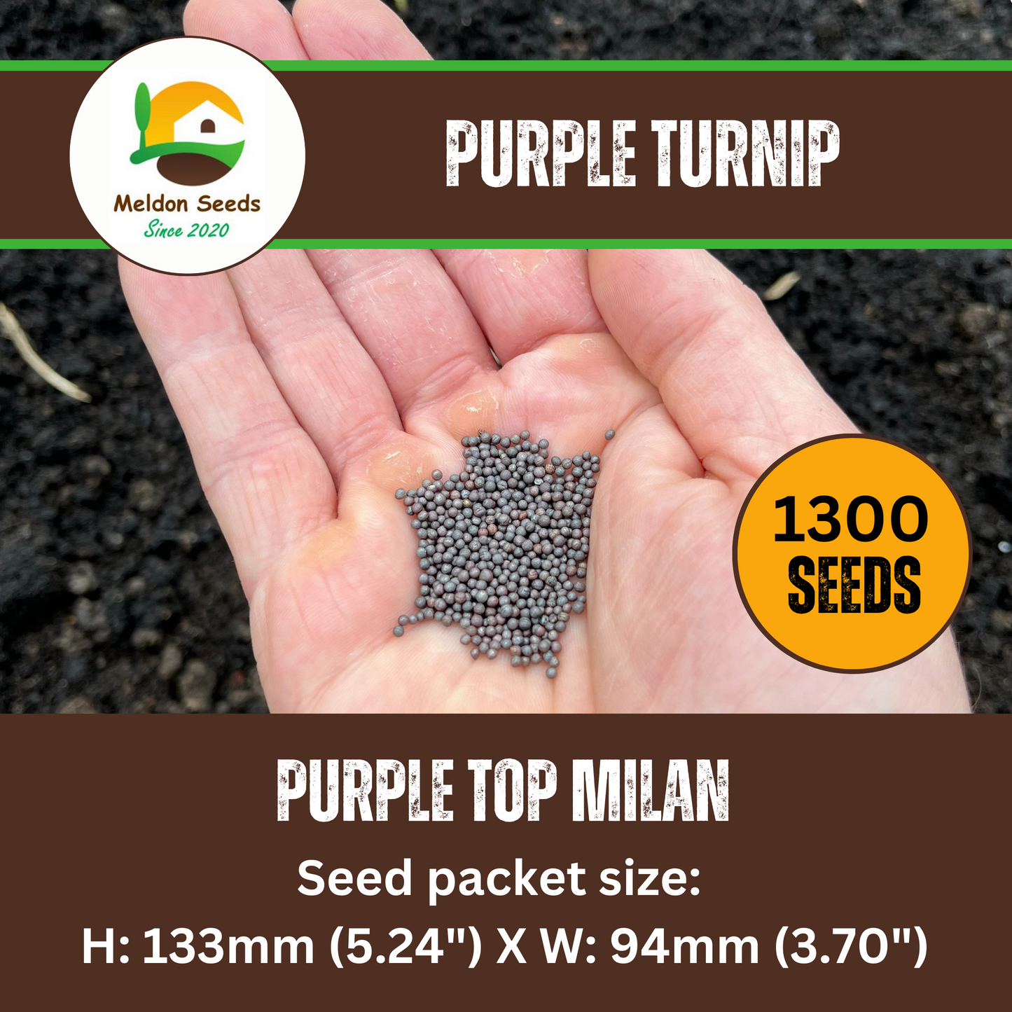 Turnip Purple Top Milan 1300 Seeds