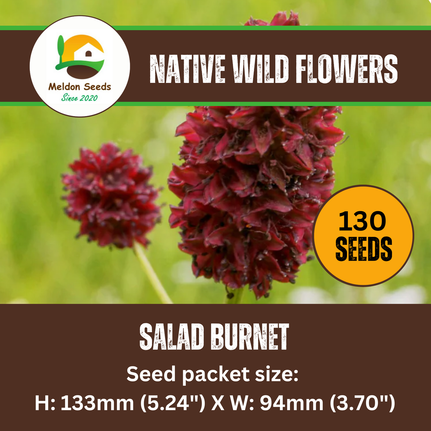 Salad Burnet Seeds - 130 Native UK Wild Flower Seeds for Attracting Birds, Bees, Wildlife, Pollinators, Suitable for Planting and Growing Outdoors in Meadows, Fields and Gardens by Meldon Seeds