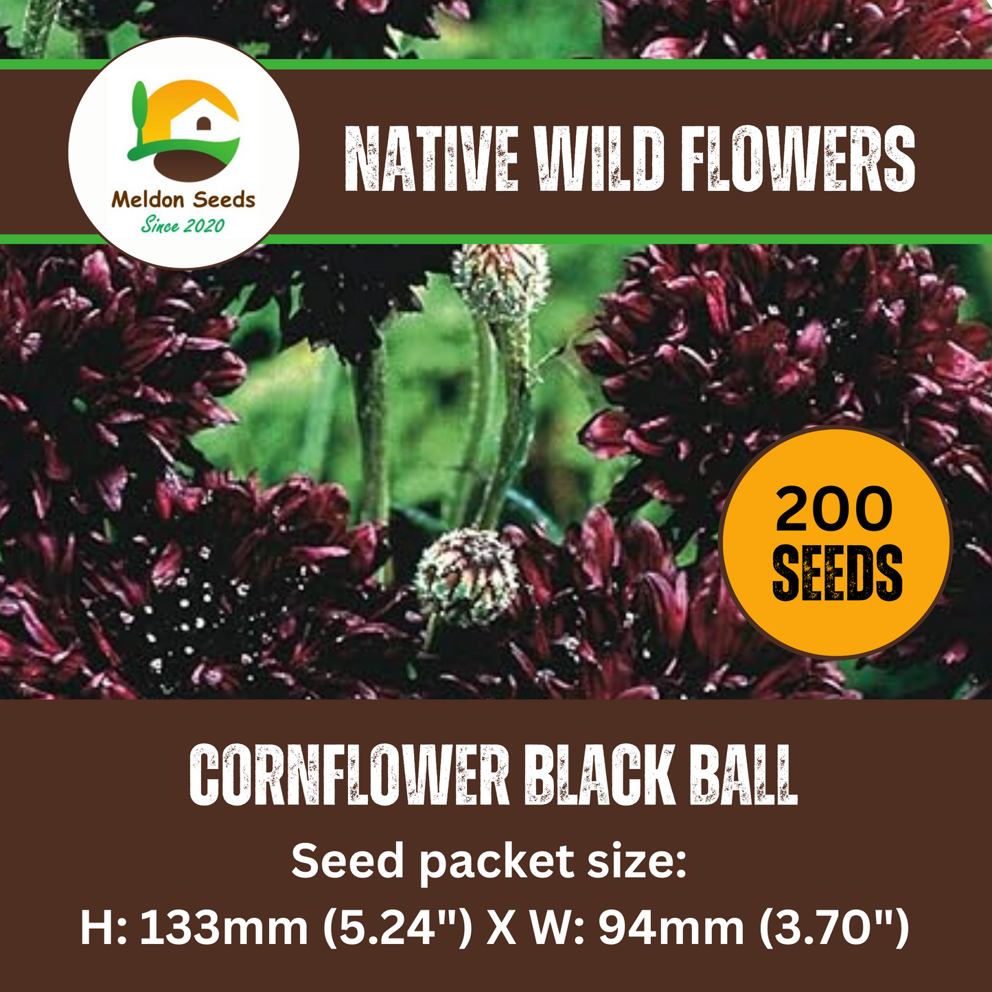 Cornflower Black Ball Seeds - 200 Native UK Wild Flower Seeds for Attracting Birds, Bees, Wildlife, Pollinators, Suitable for Planting and Growing Outdoors in Meadows, Fields, Gardens and Borders