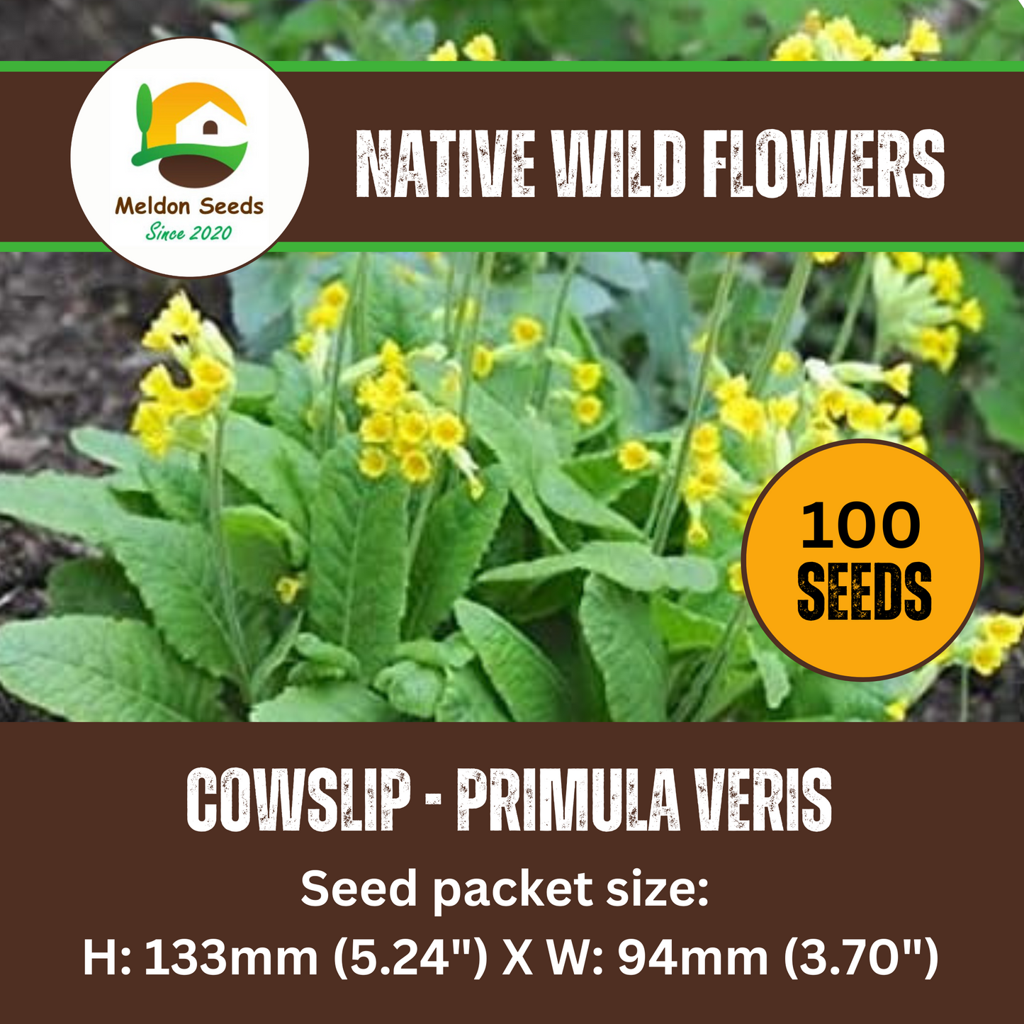 Cowslip Seeds - 100 Native UK Wild Flower Seeds for Attracting Birds, Bees, Wildlife, Pollinators, Suitable for Planting and Growing Outdoors in Meadows, Fields, Gardens and Borders by Meldon Seeds