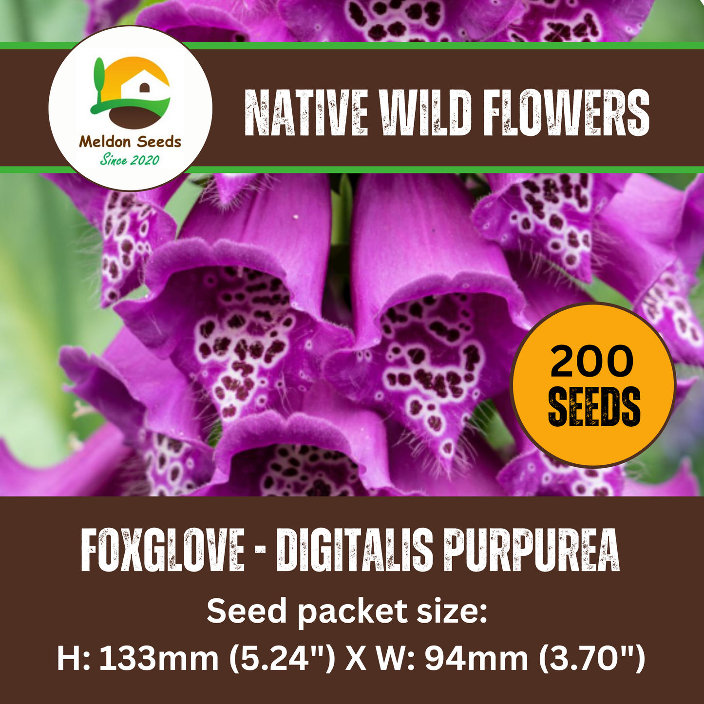 Foxglove Seeds - 200 Native UK Wild Flower Seeds for Attracting Birds, Bees, Wildlife, Pollinators, Suitable for Planting and Growing Outdoors in Meadows, Fields, Gardens and Borders by Meldon Seeds
