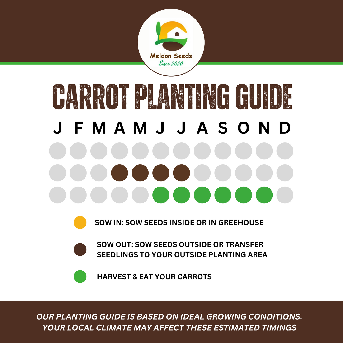 Carrot Purple Sun F1 275 Seeds