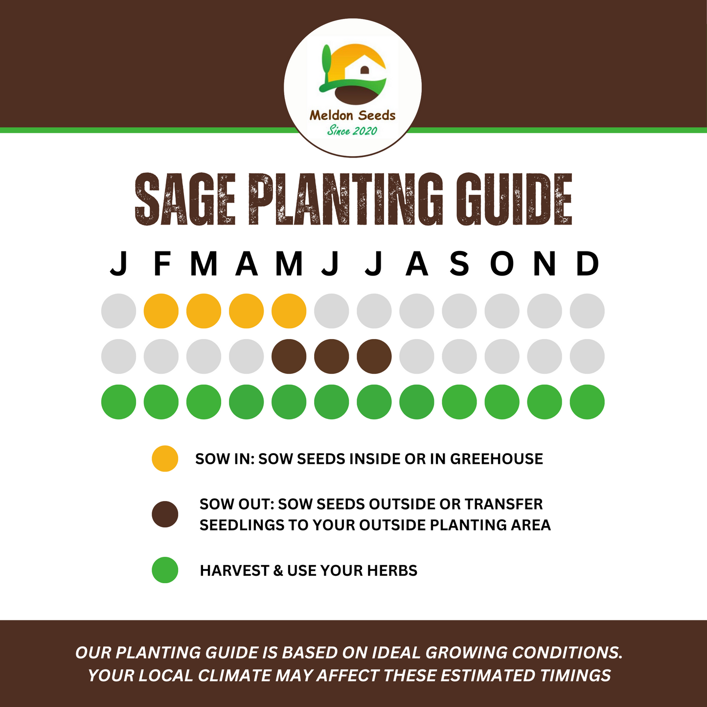 Sage 50 Seeds