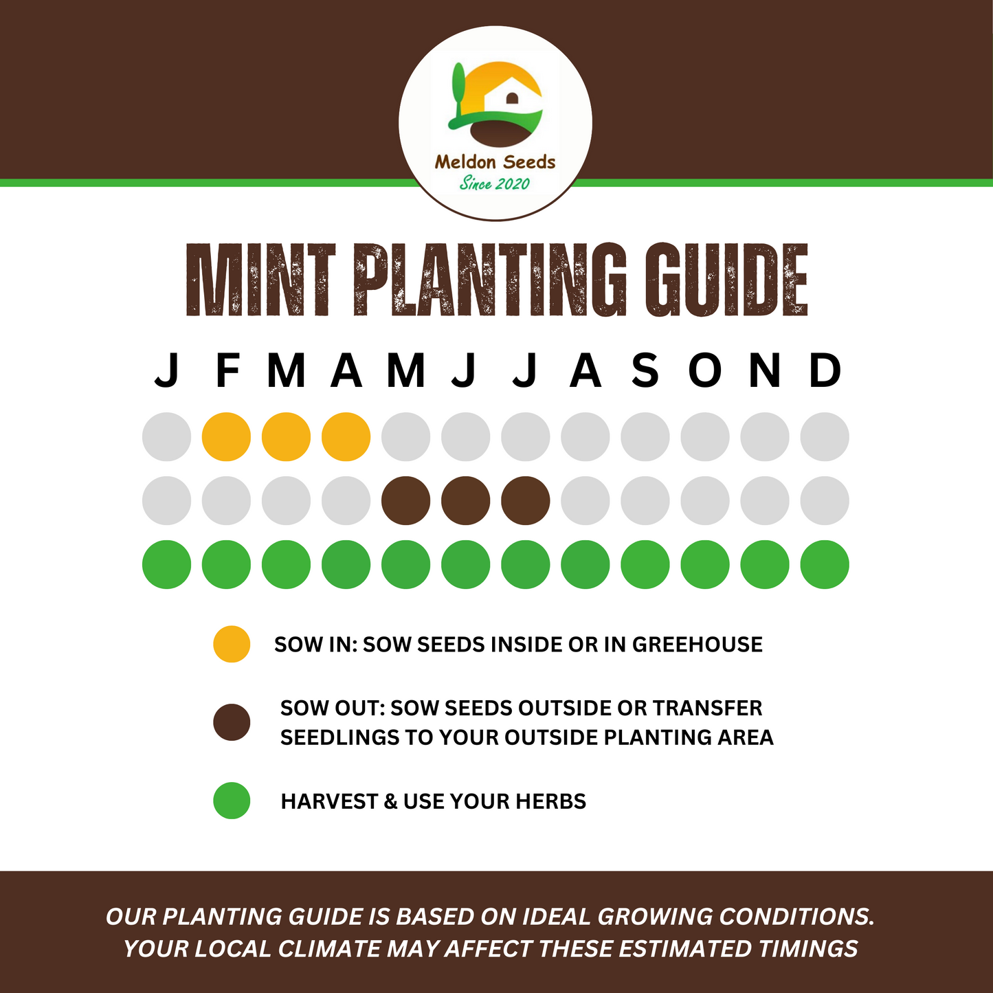 Mint Spearmint 200 Seeds