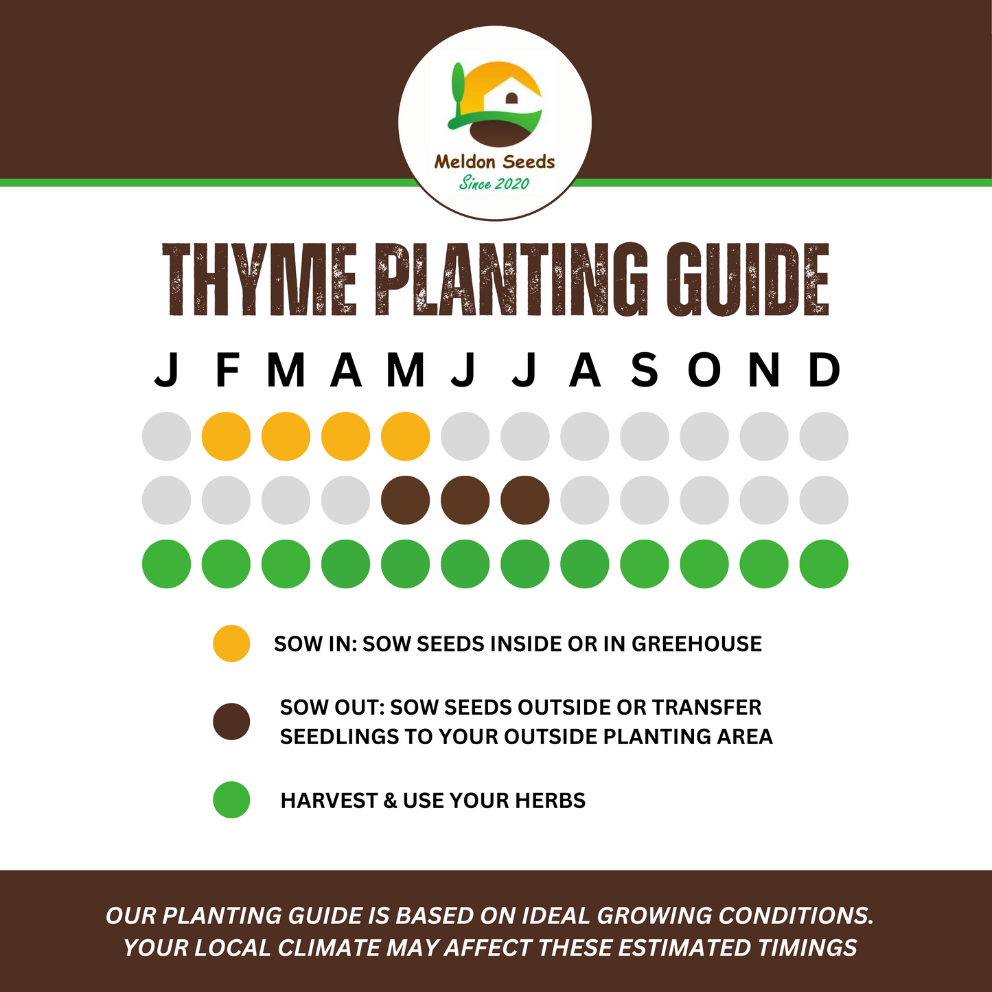 Thyme 450 Seeds