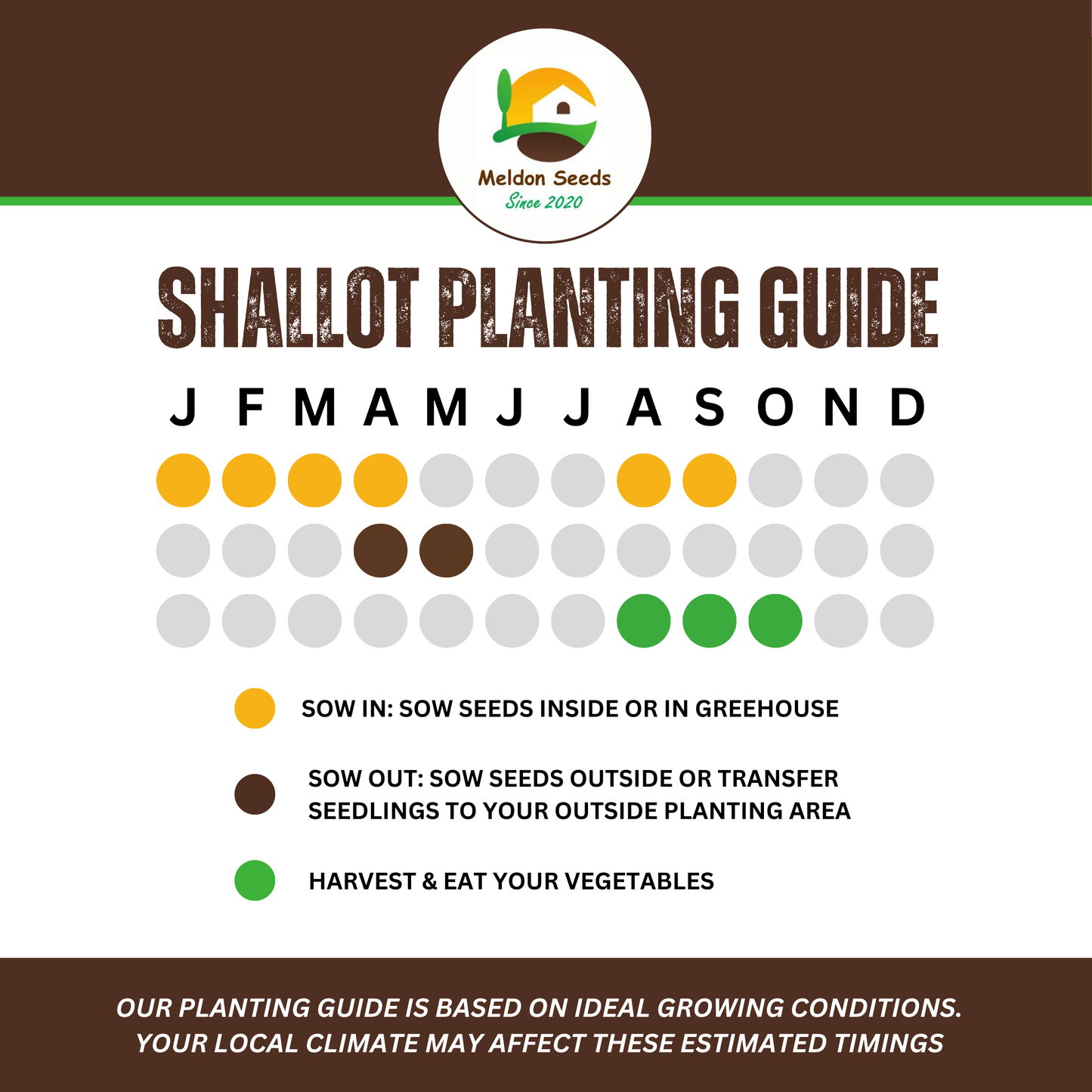 Shallot Seeds (Banana) Shallot Zebrune - 100 Fresh Onion Seeds for Planting UK