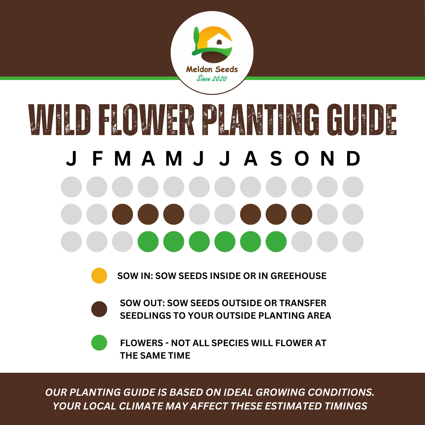 Wild Flowers Birds and Bees Mix 2.5g Seeds