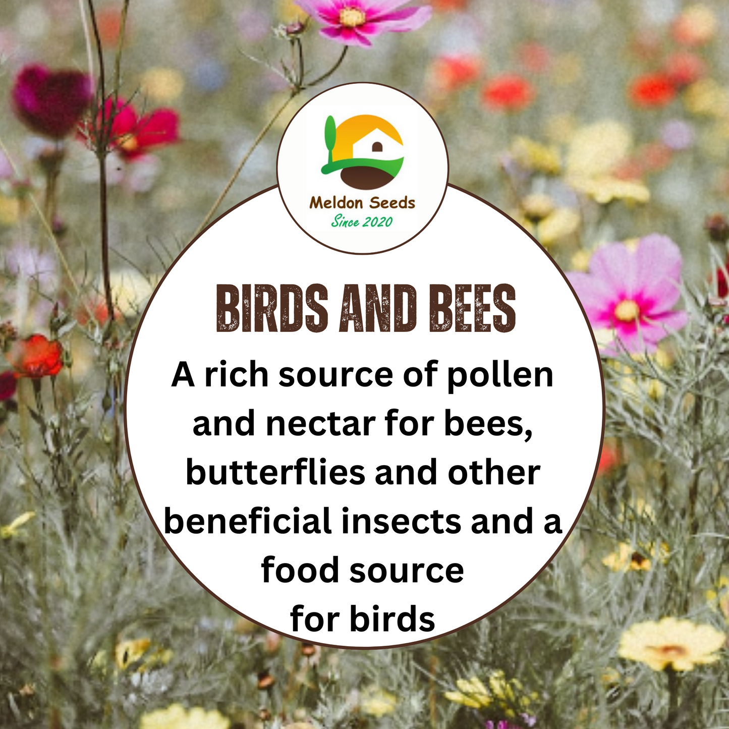 Wild Flowers Birds and Bees Mix 2.5g Seeds