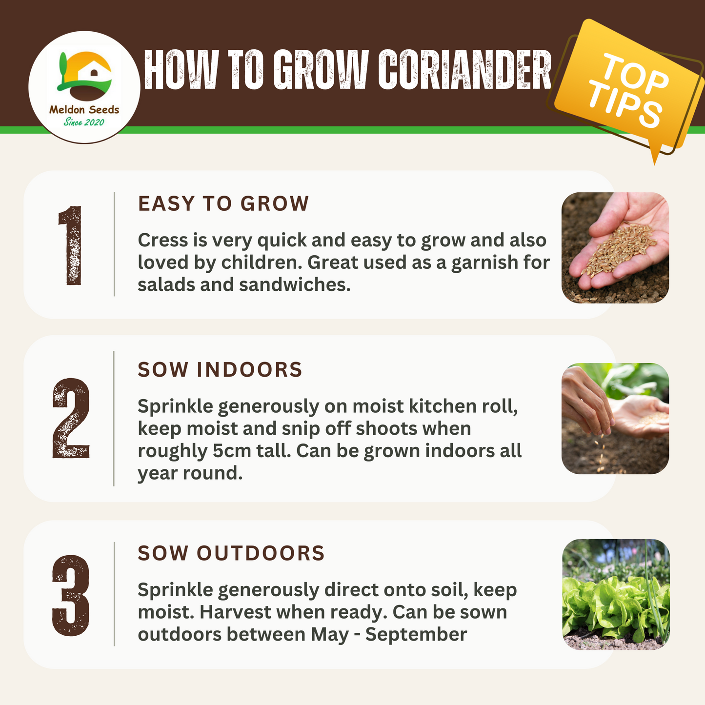 Cress Plain 2000 Seeds