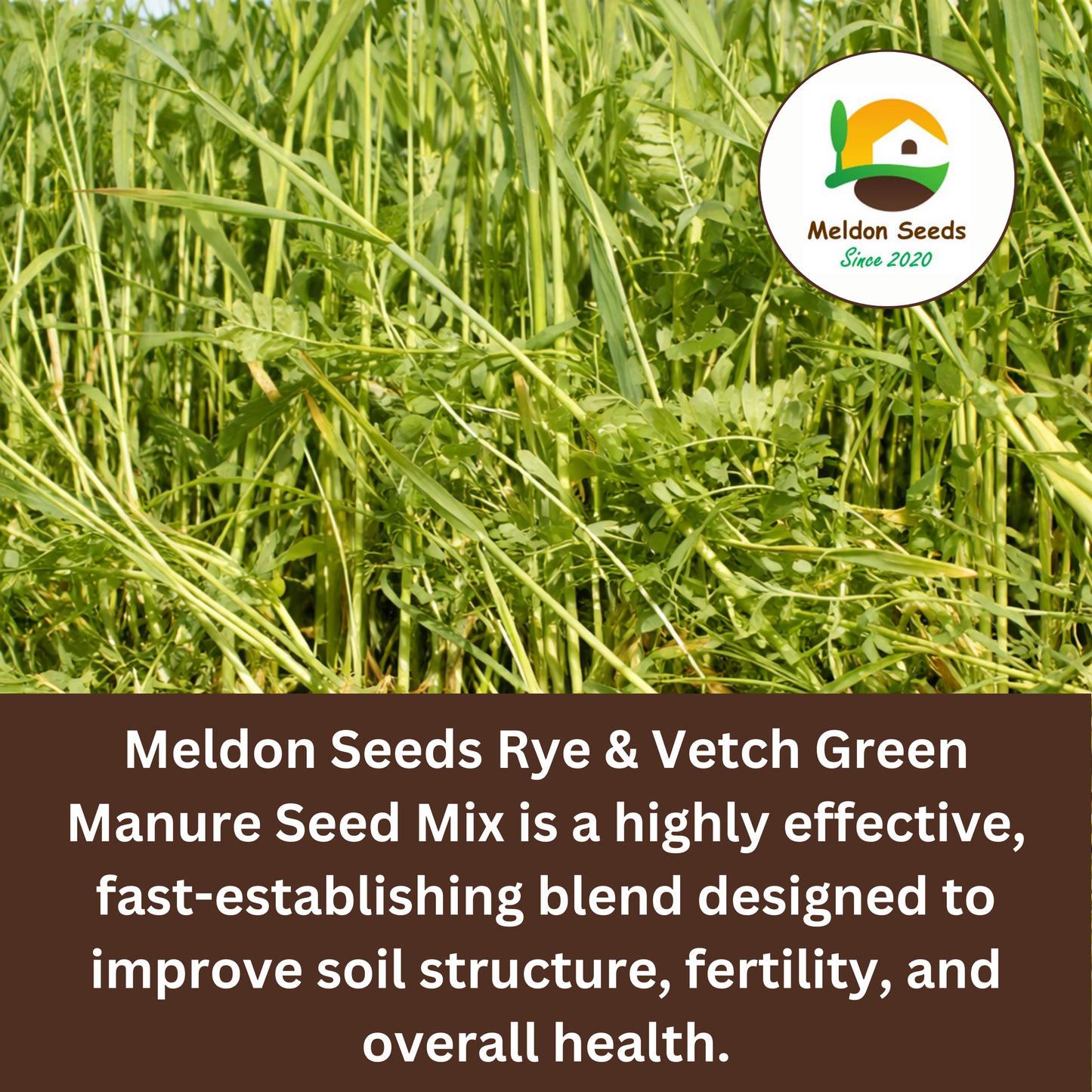 Rye and Vetch Green Manure Seed Mix - 1kg