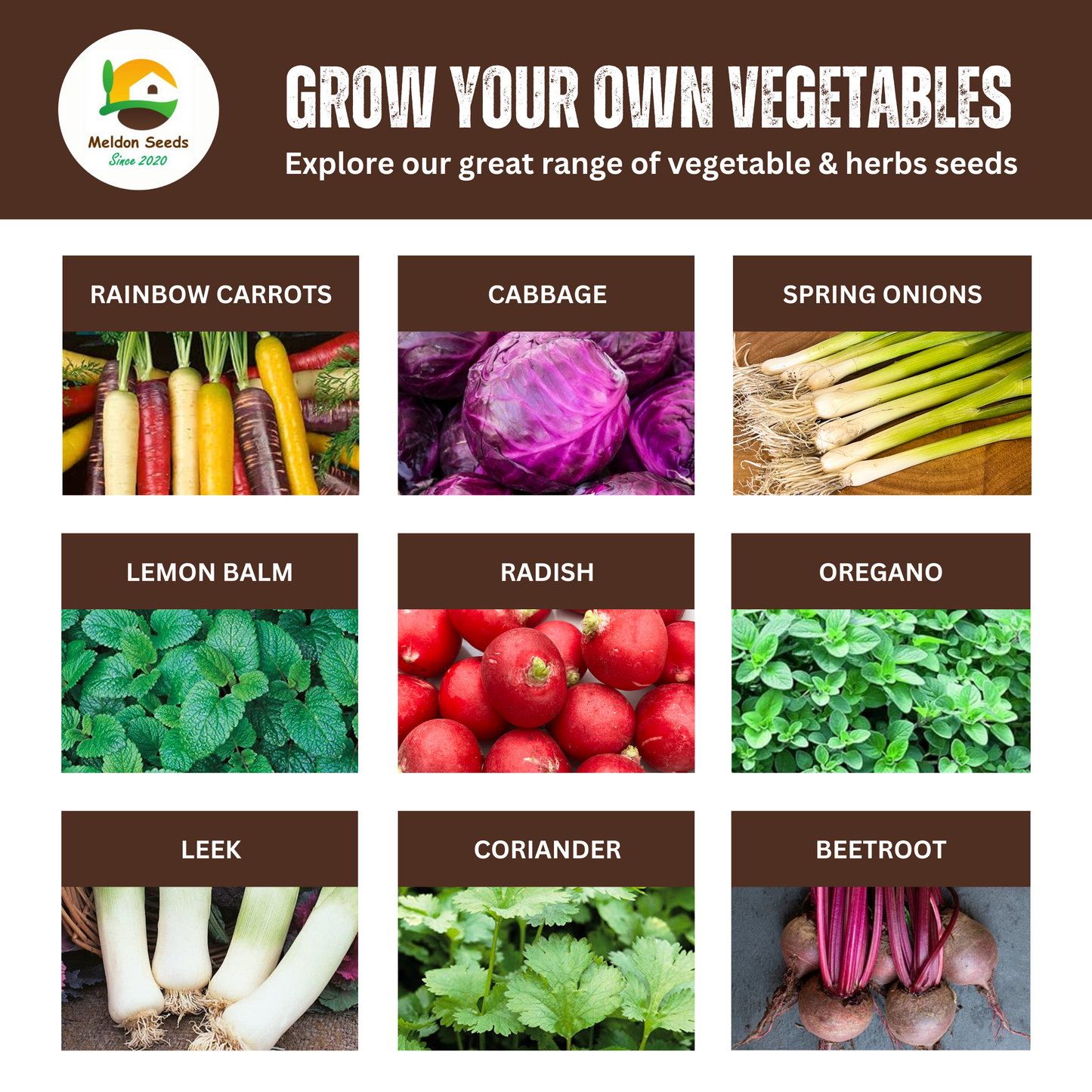 Carrot Chantenay Red Cored 1000 Seeds