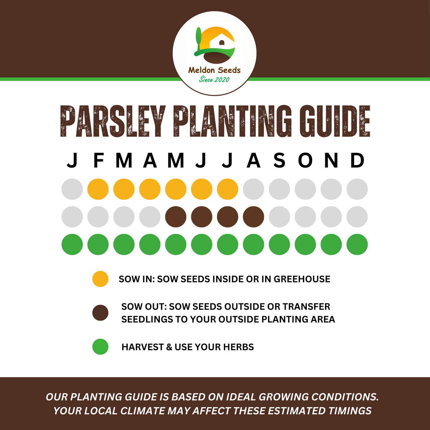 Perfect for Pots Herb Seed Starter Bundle 6 Easy to Grow Herbs Ideal from Growing Indoors in Pots or Containers