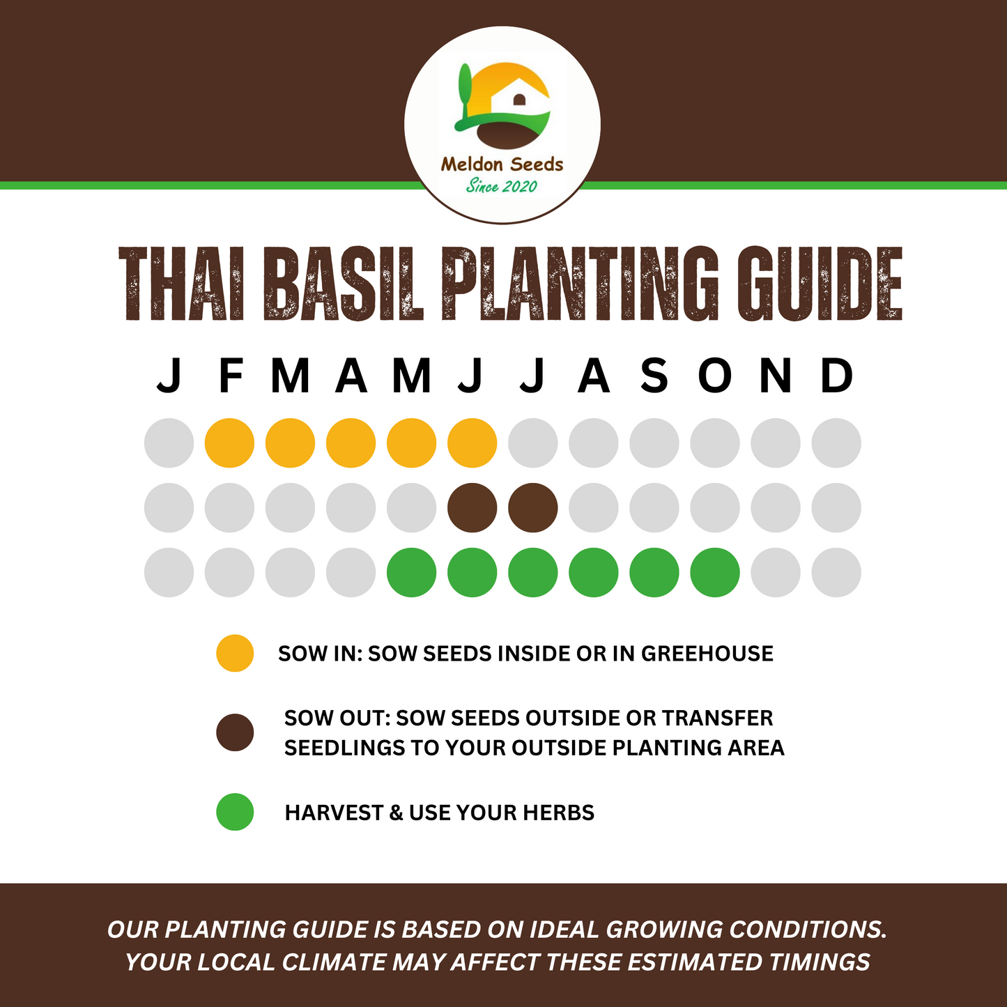 Perfect for Pots Herb Seed Starter Bundle 6 Easy to Grow Herbs Ideal from Growing Indoors in Pots or Containers