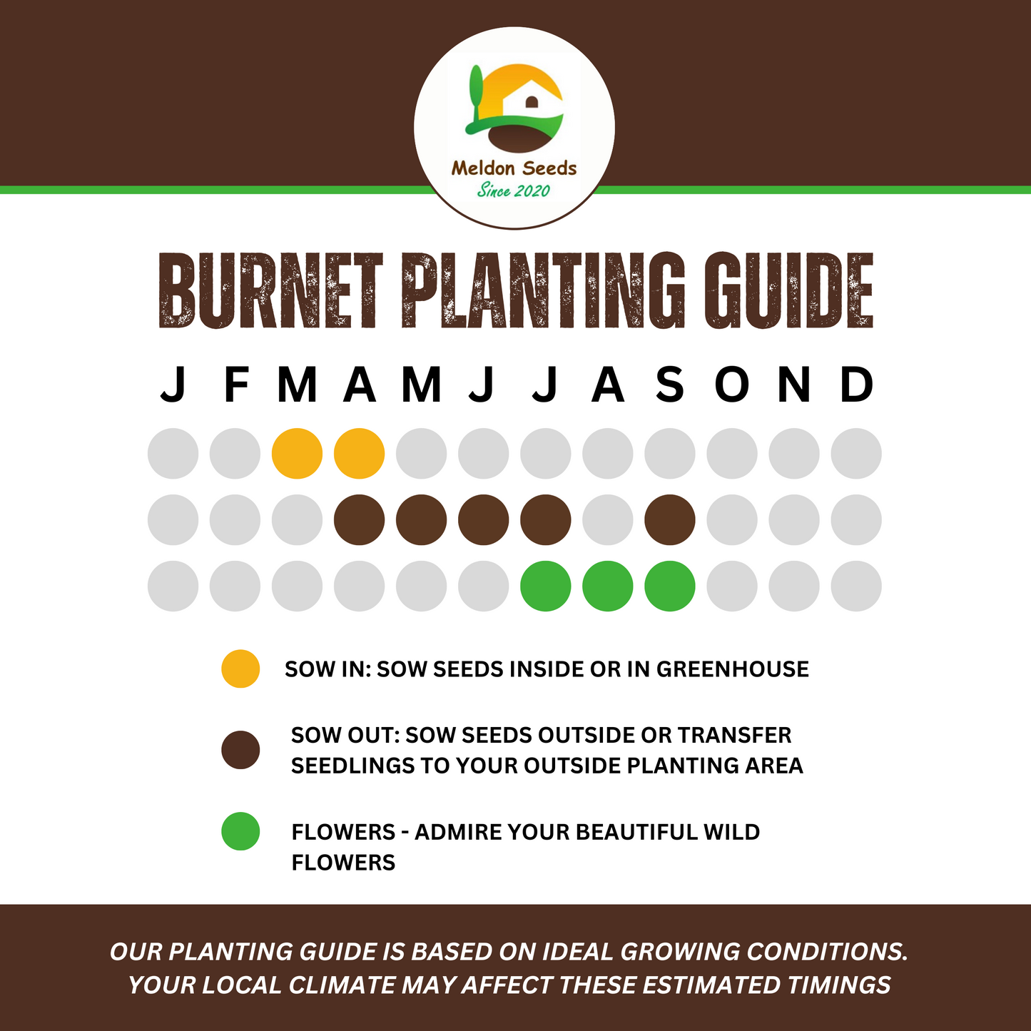 Wildlife Attractive Collection. 5 Native Wild Flower Varieties