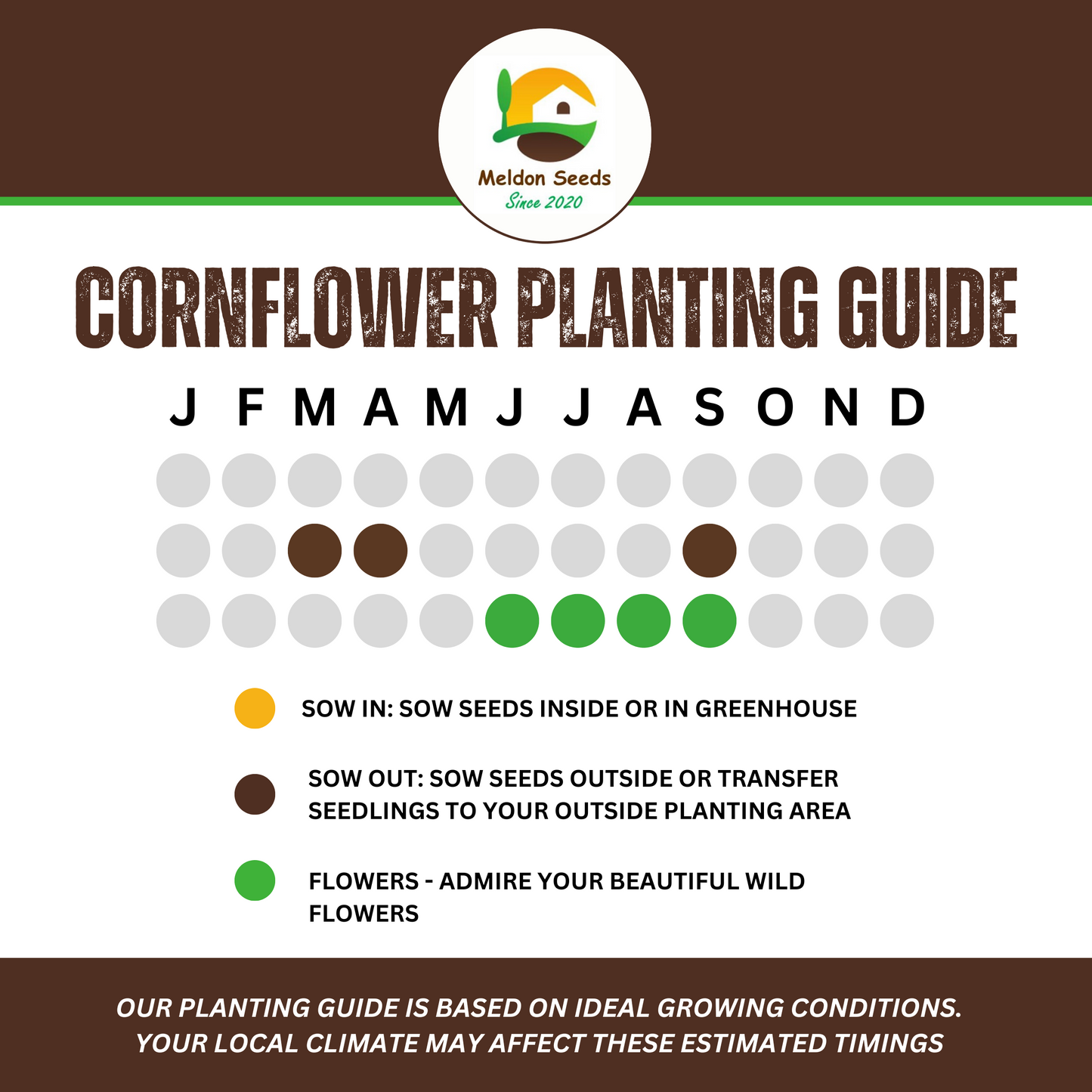 Wildlife Attractive Collection. 5 Native Wild Flower Varieties