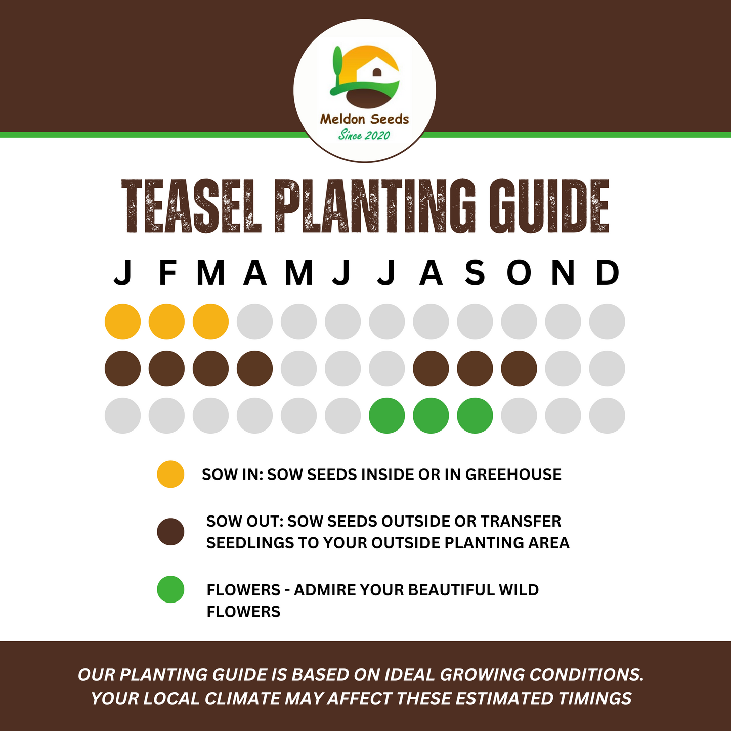 Wildlife Attractive Collection. 5 Native Wild Flower Varieties