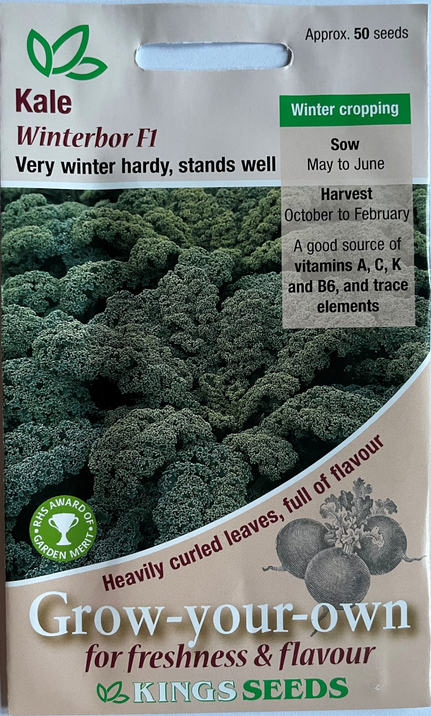 Kale Borecole Winterbor F1 50 Seeds