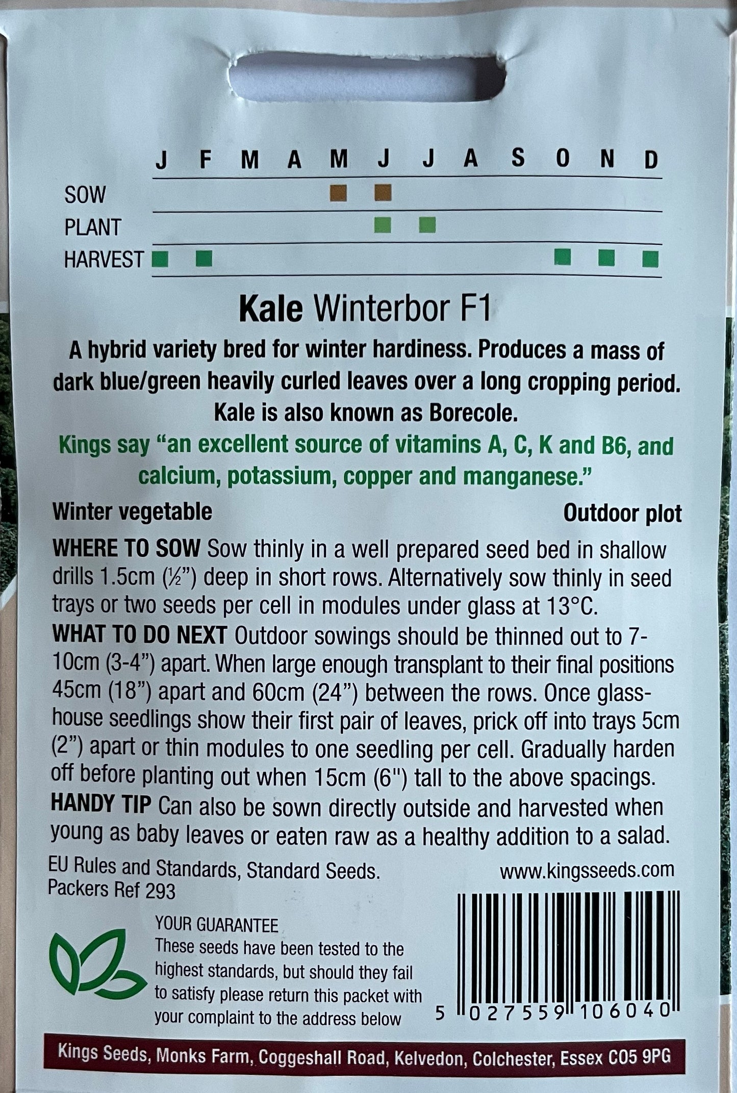 Kale Borecole Winterbor F1 50 Seeds