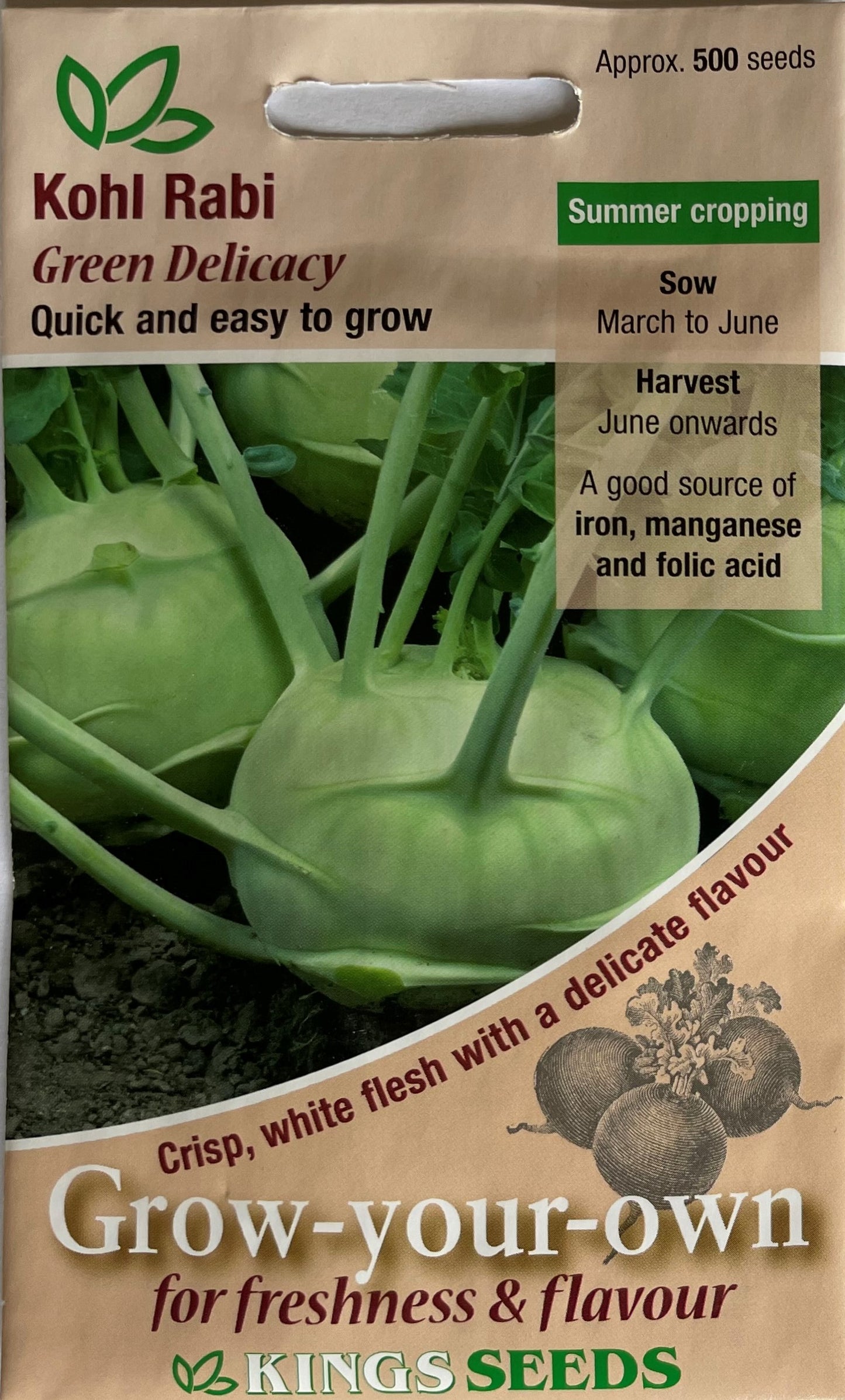 Kohl Rabi Green Delicacy 500 Seeds