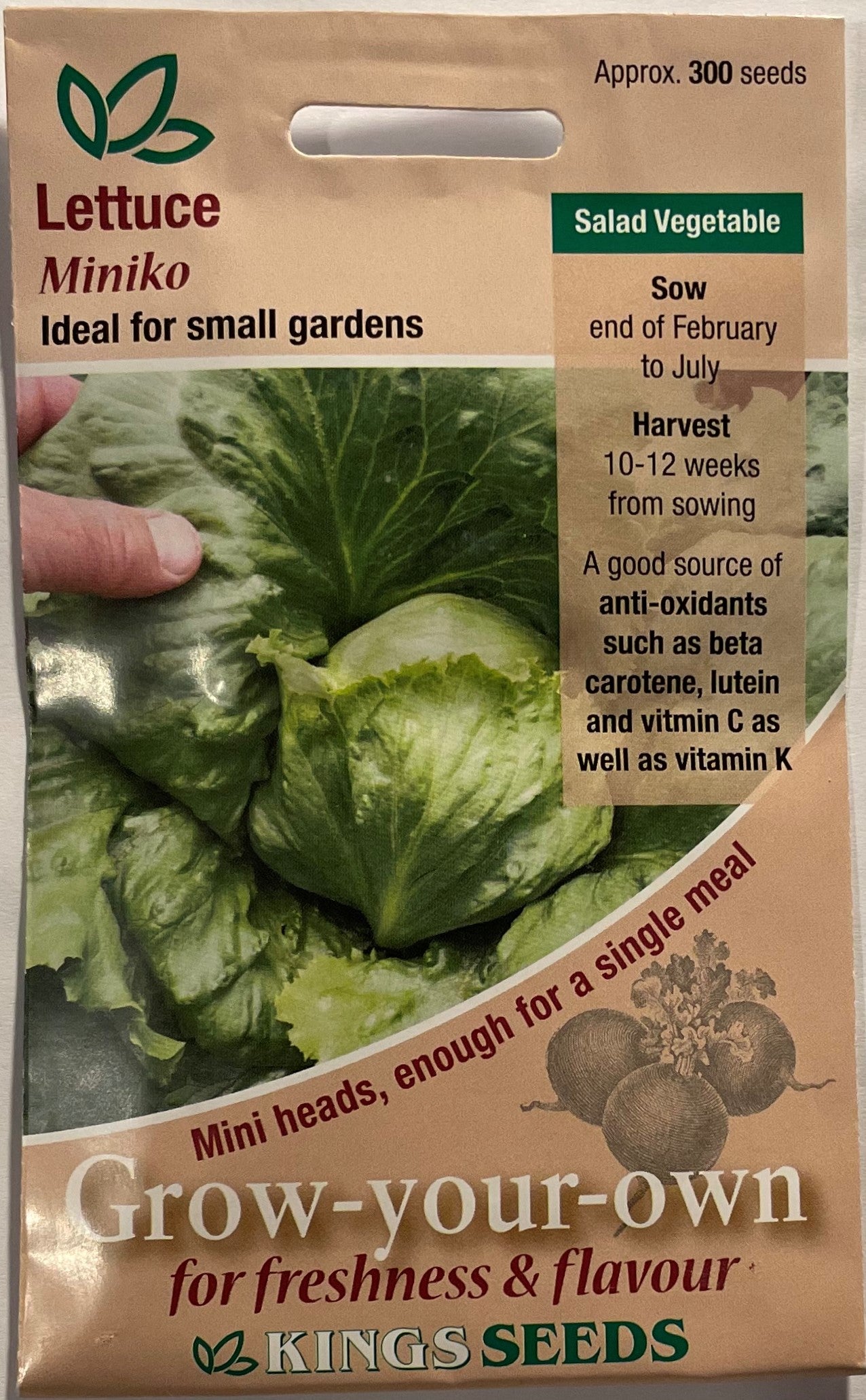 Lettuce Miniko 300 Seeds