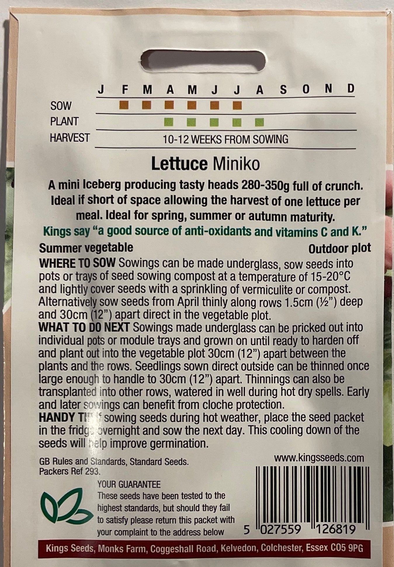 Lettuce Miniko 300 Seeds