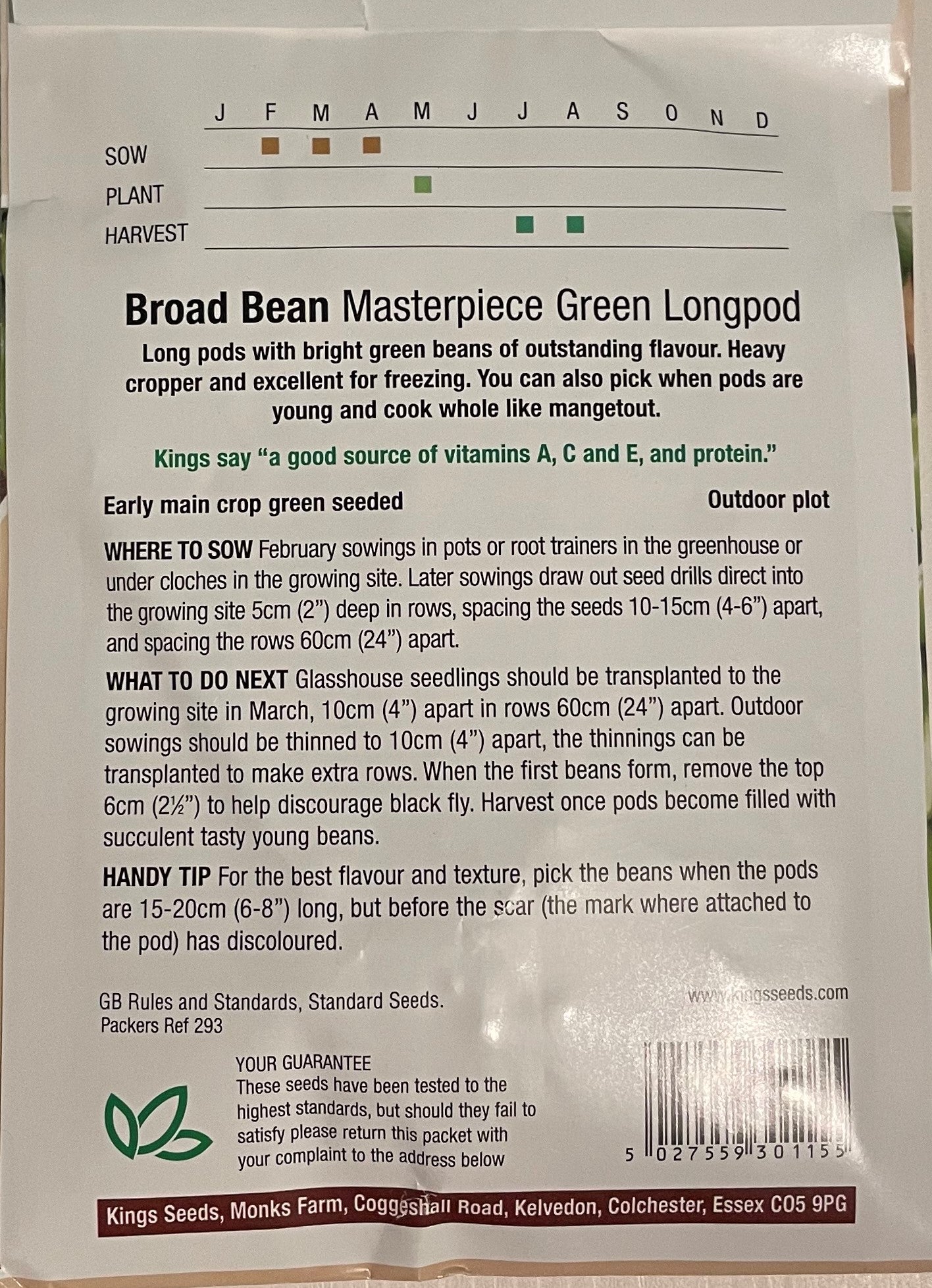 Broad Bean Masterpiece Green Longpod 50 seeds