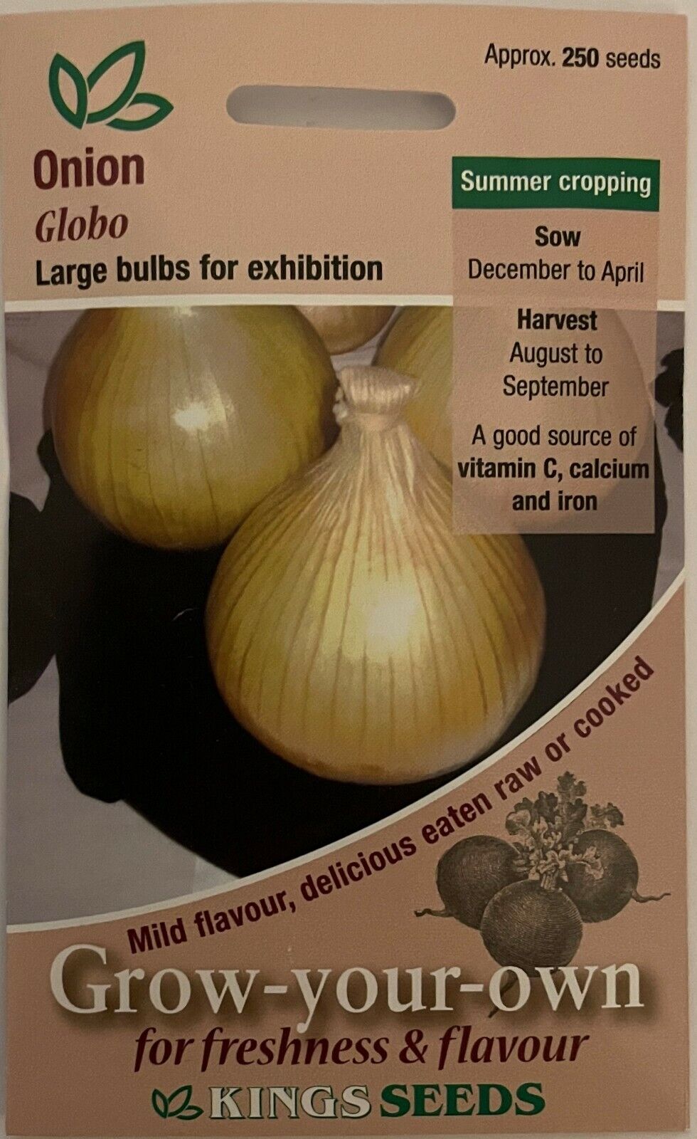 Onion Globo 250 Seeds