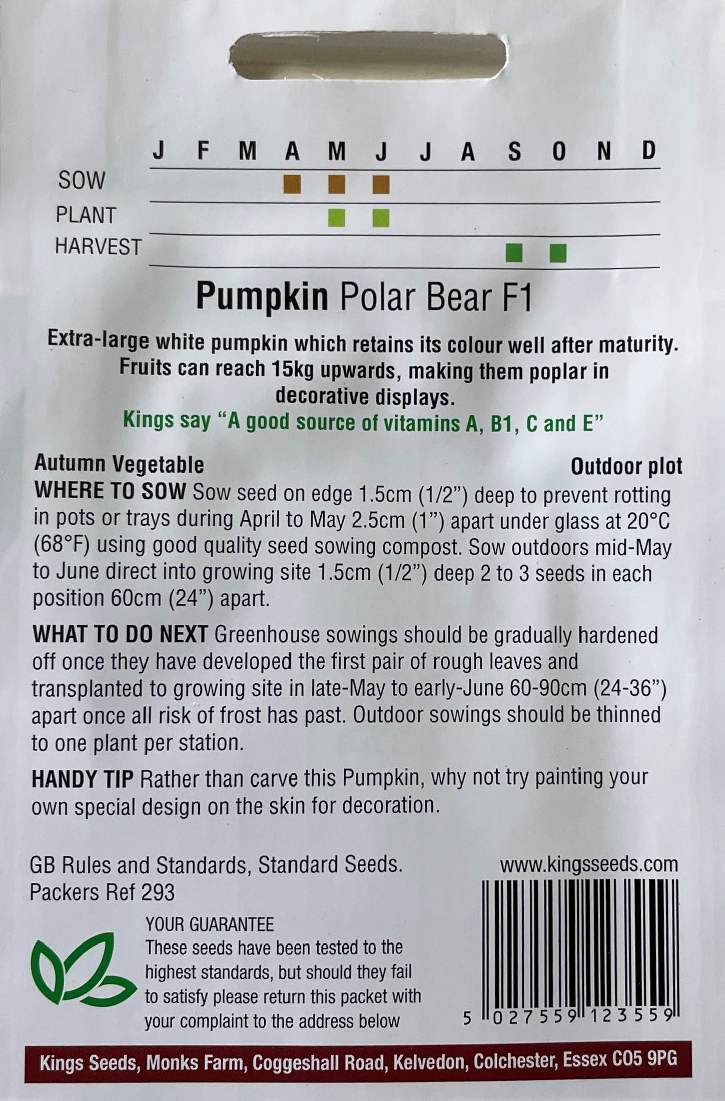 Pumpkin Polar Bear F1 6 Seeds
