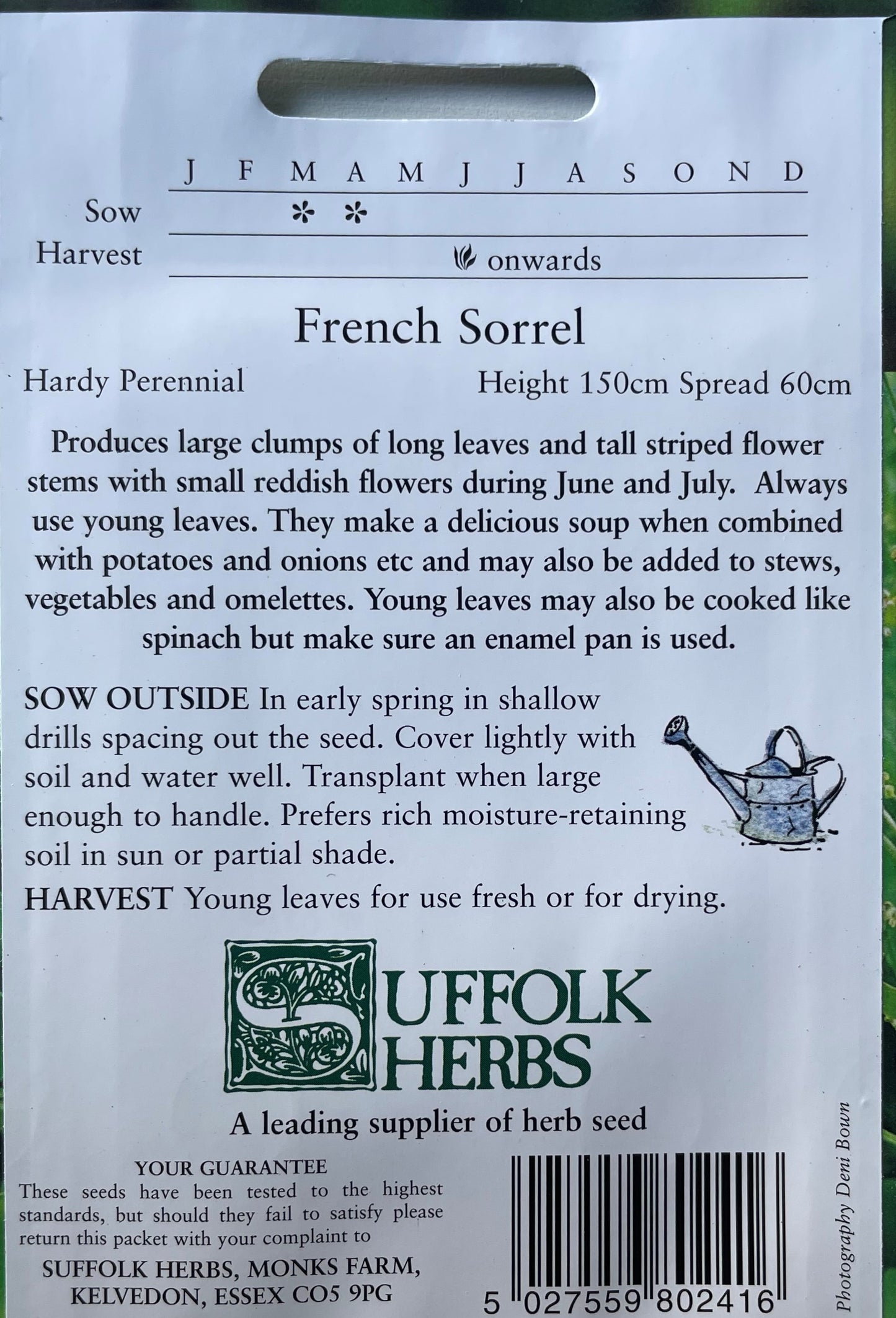 French Sorrel 350 Seeds