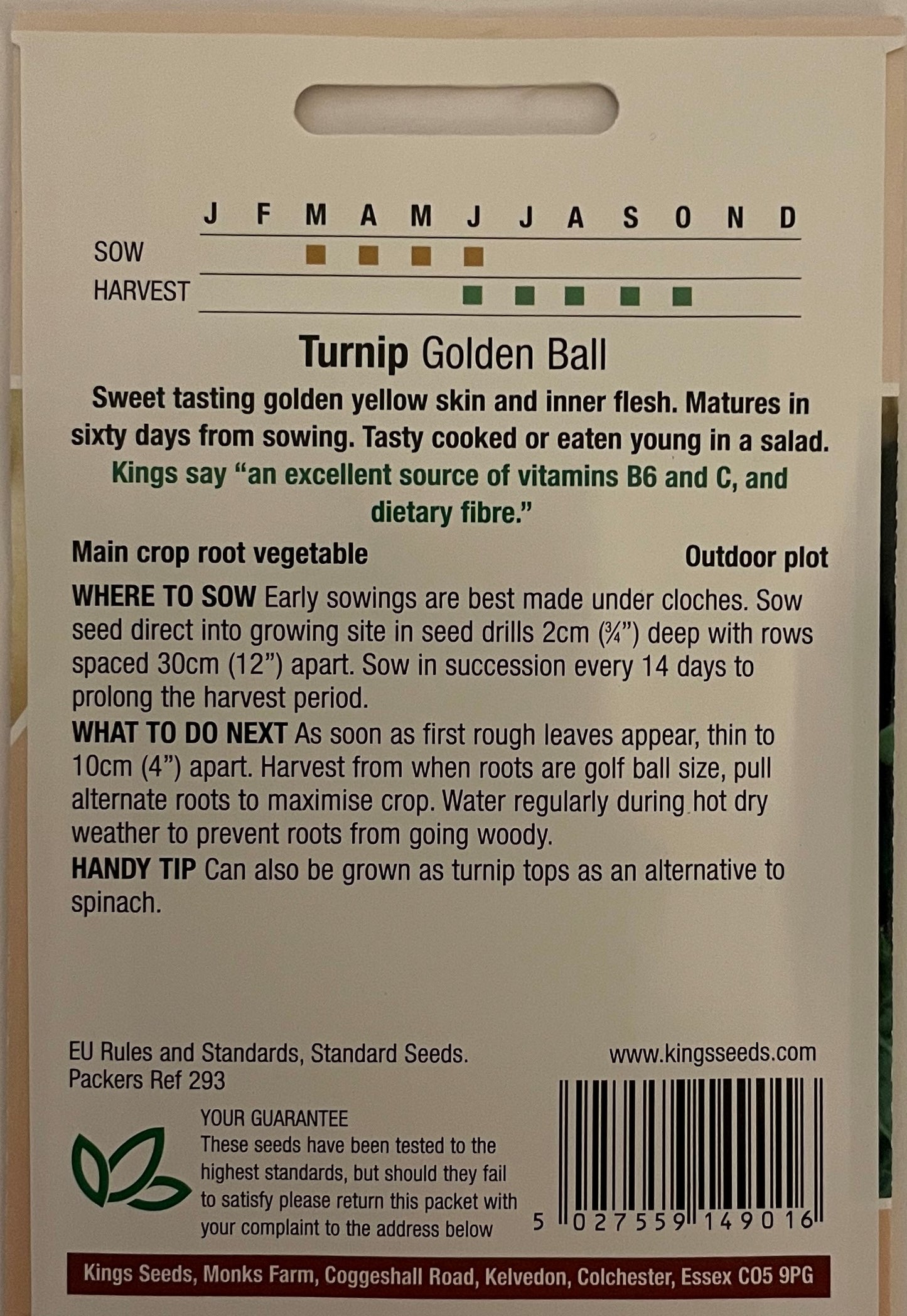 Turnip Golden Ball 1200 Seeds